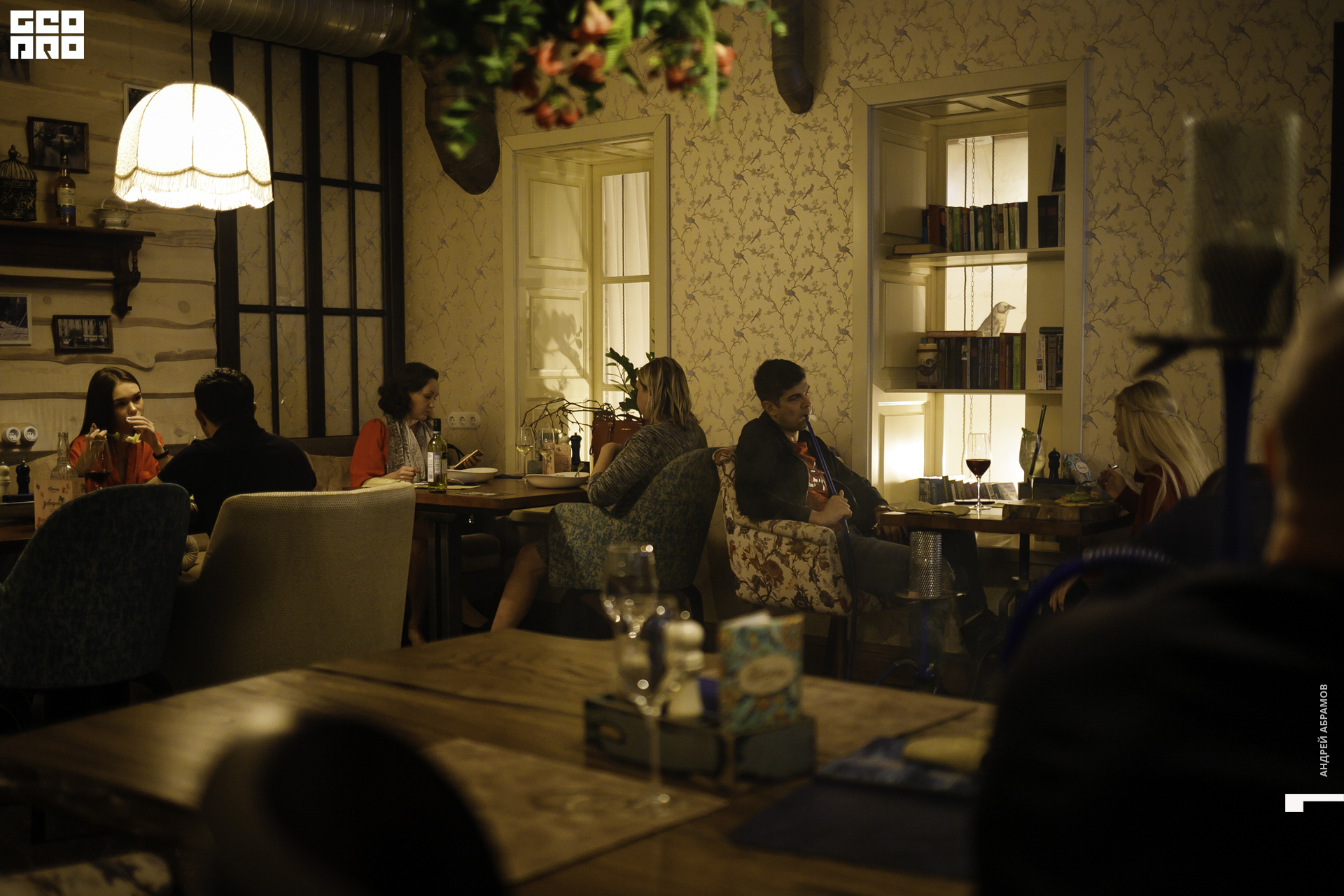 200919 Птичка Абрамов108.JPG