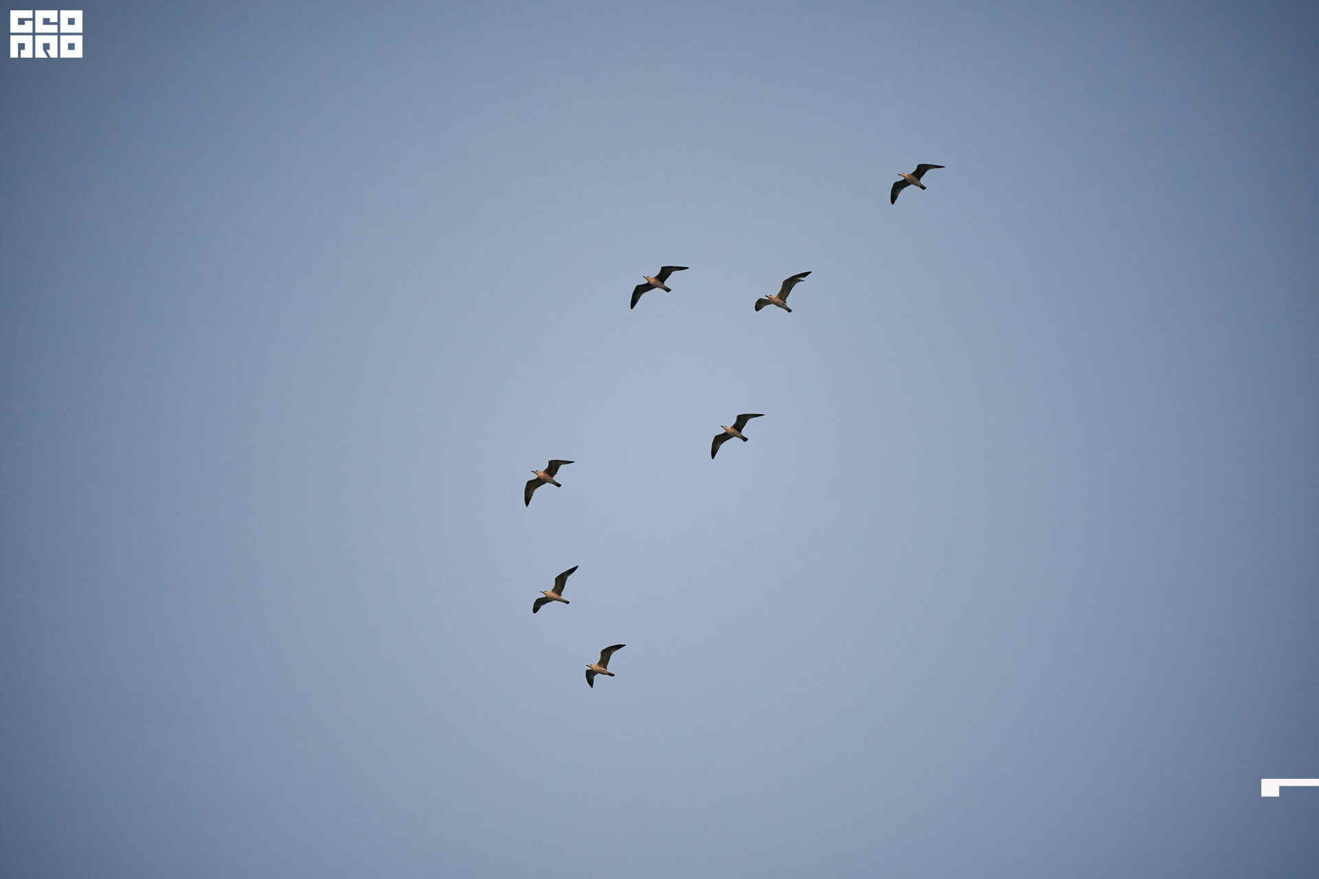 29_09_19 формула1_462.jpg