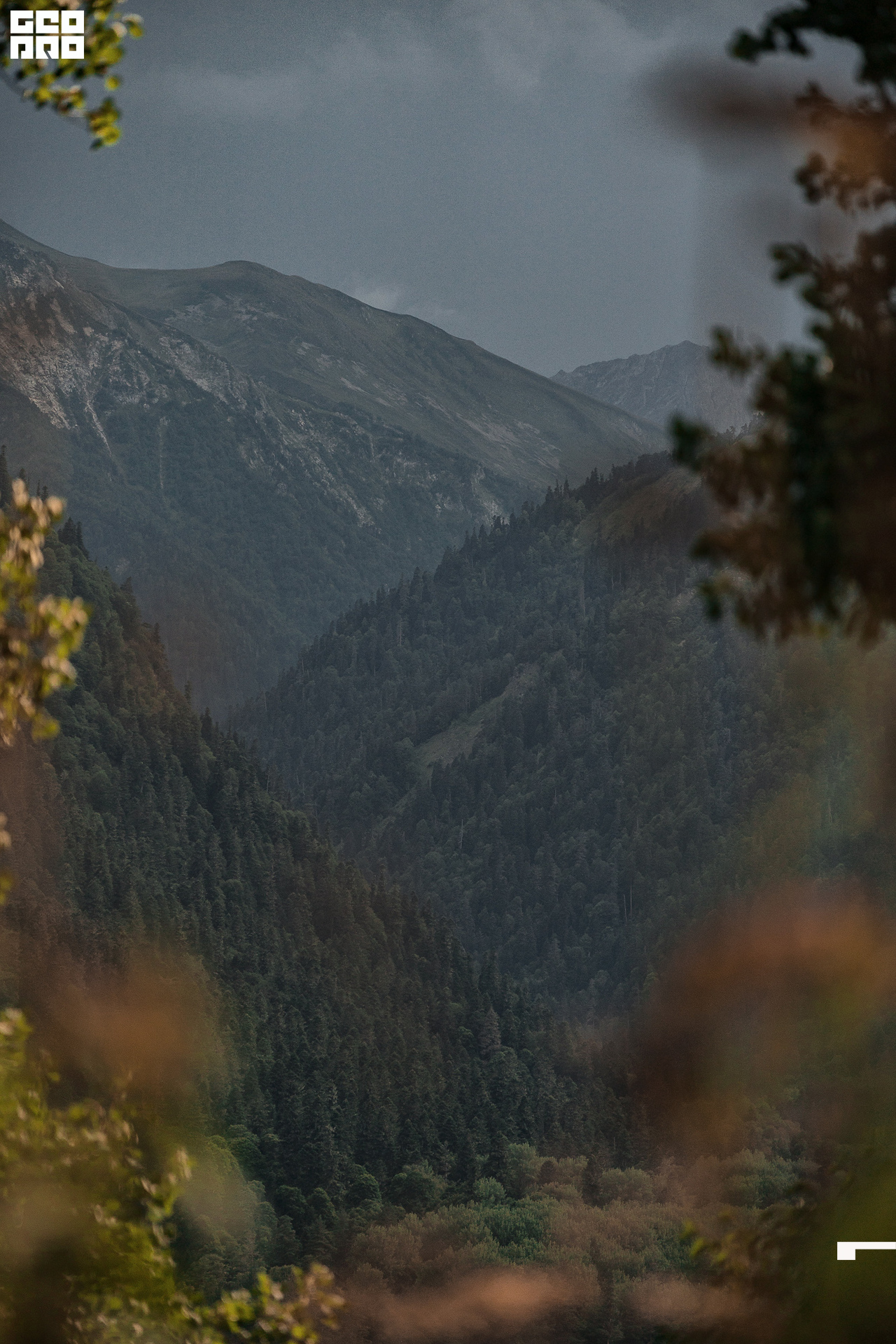 Jpeg-256 копия.jpg