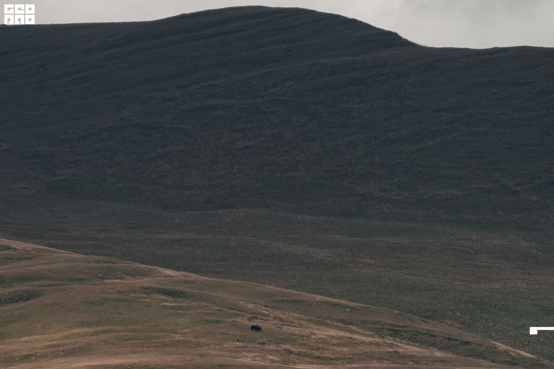 Jpeg-244 копия.jpg