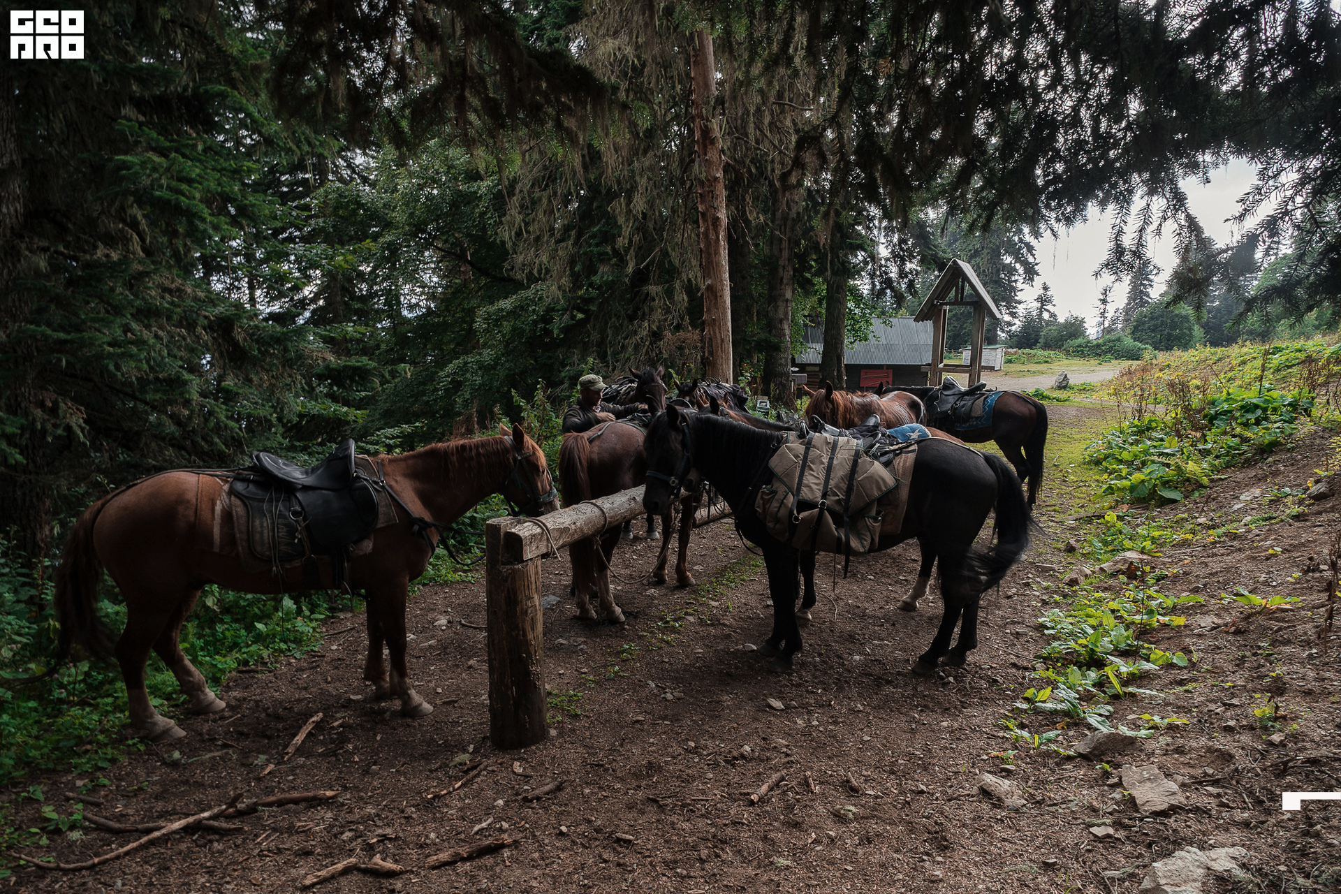 Jpeg-293 копия.jpg