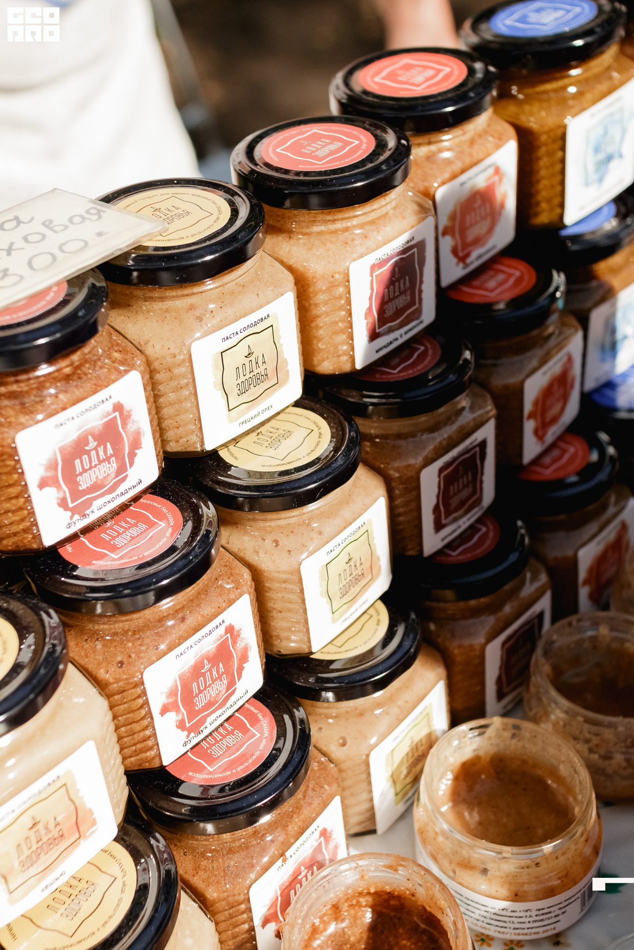 0263 190825 Organic nation.jpg