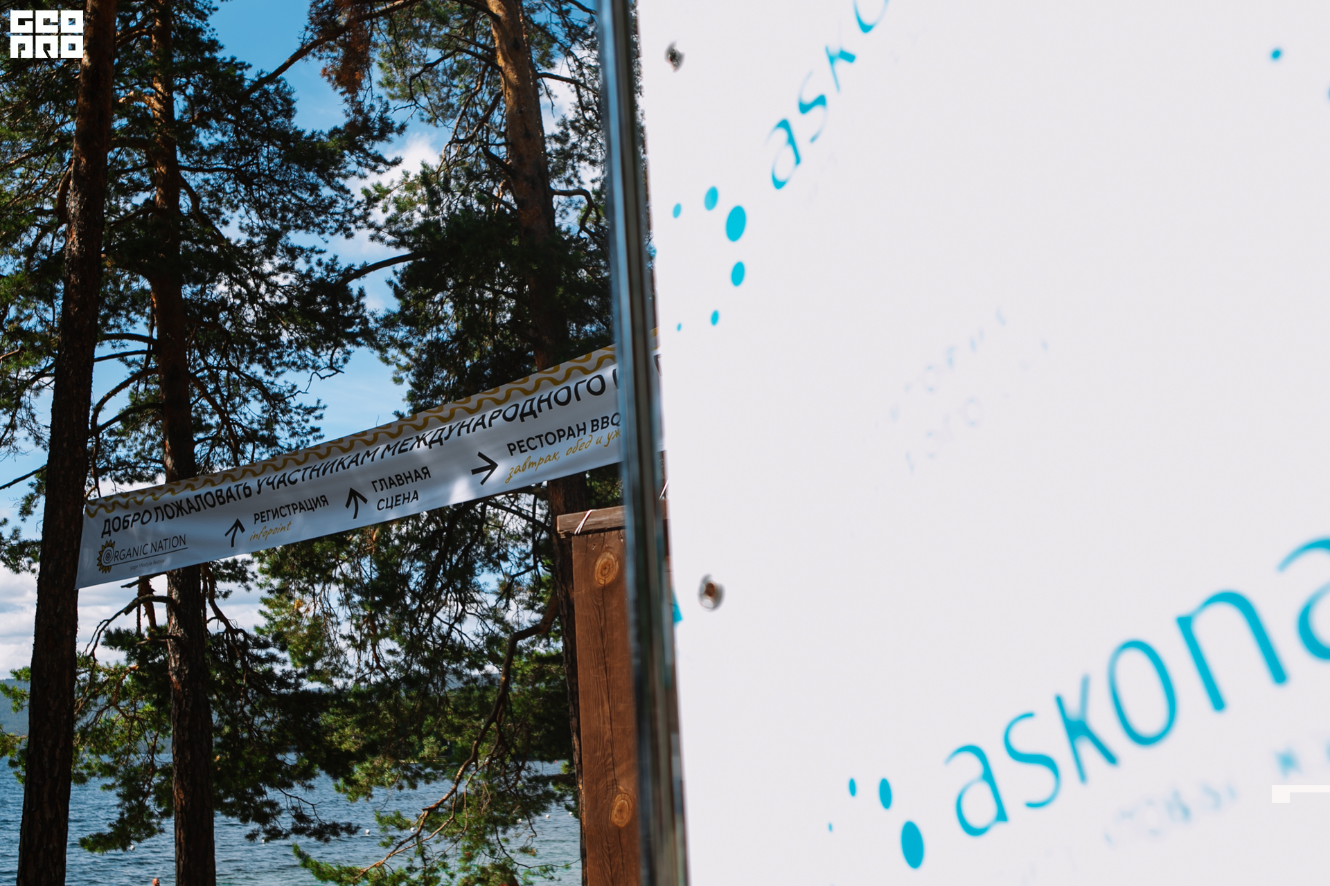 0002 190825 Organic nation.jpg