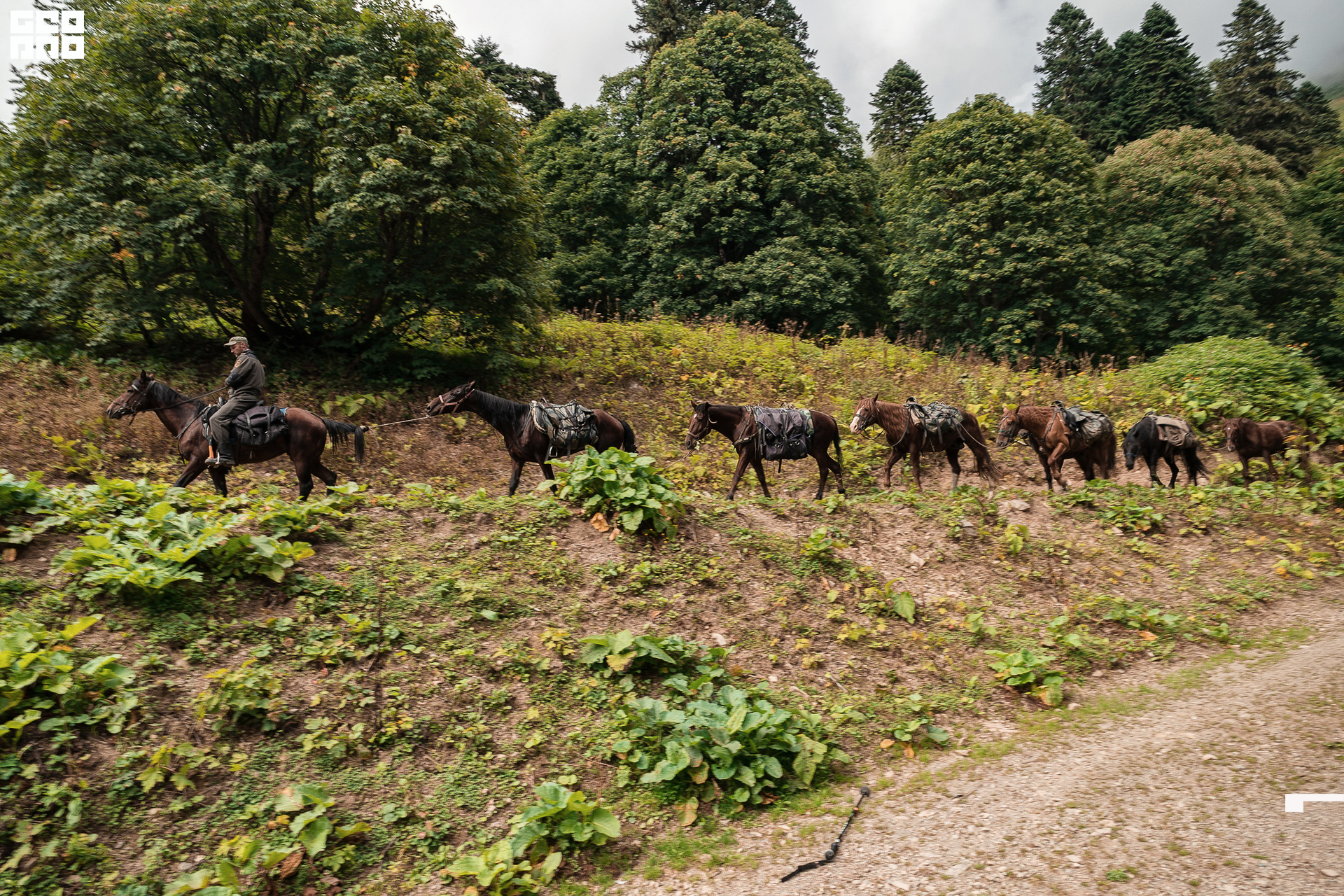 Jpeg-296 копия.jpg