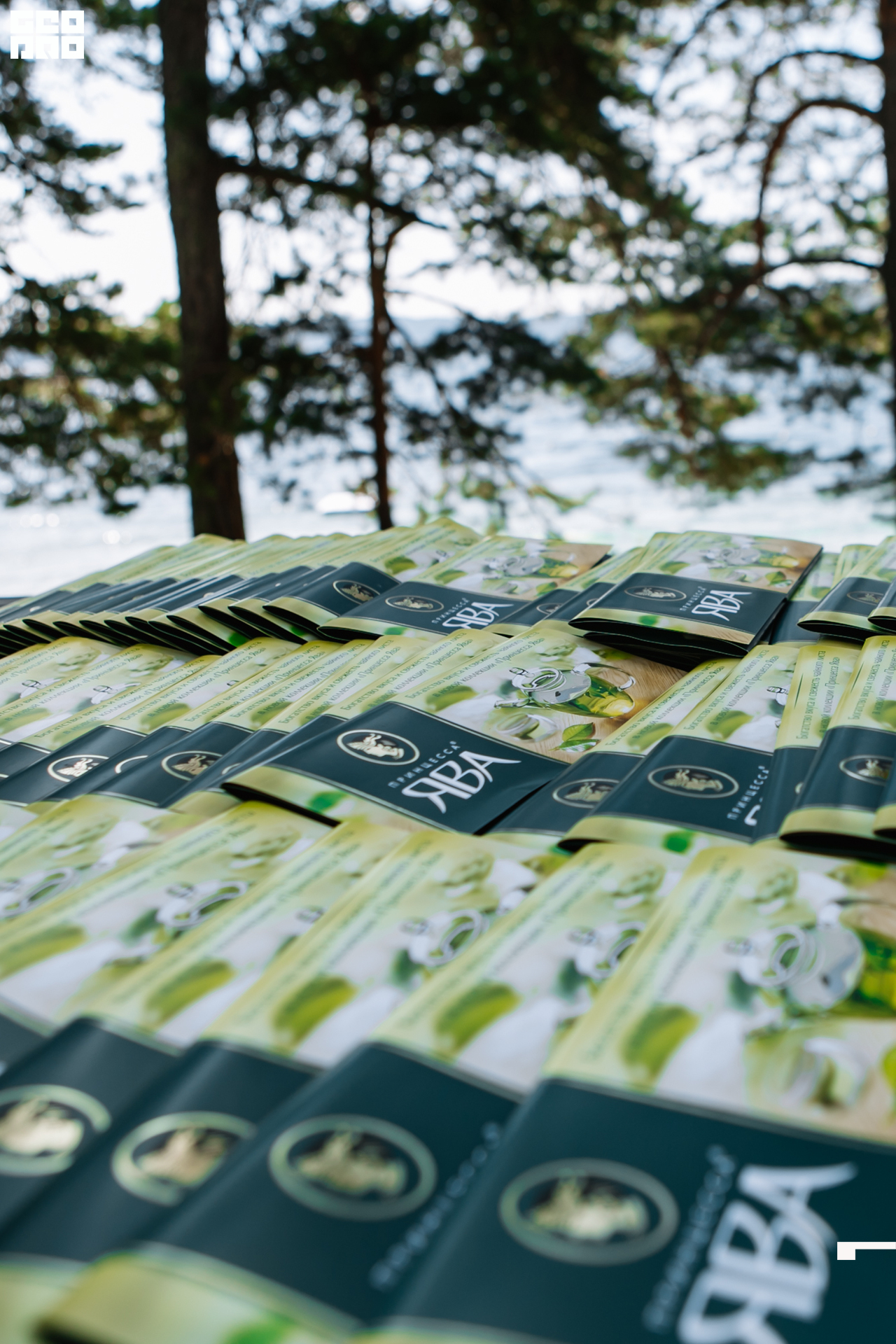 0186 190825 Organic nation.jpg