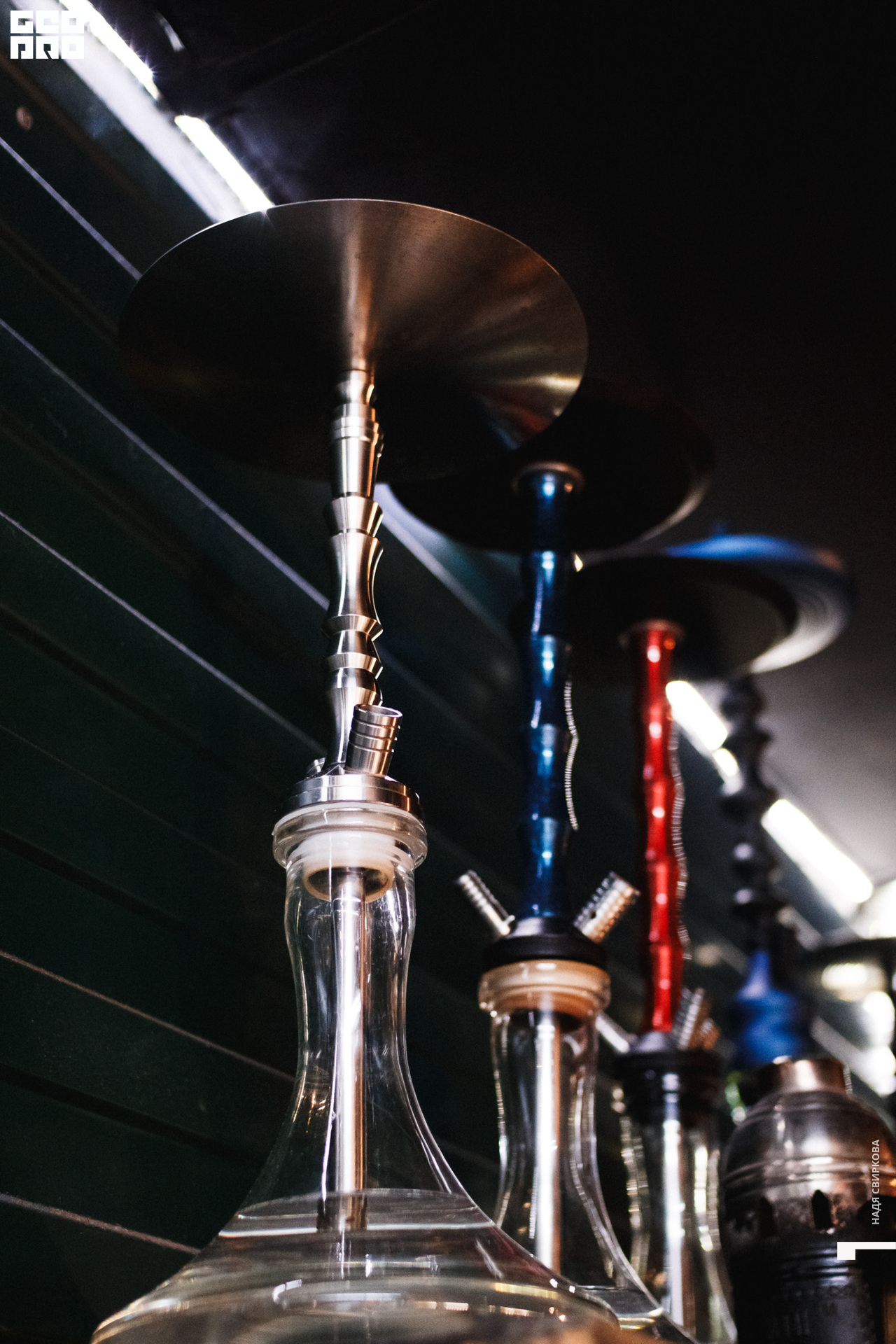 2019-08-31 21-00-00_svirkova_037.jpg