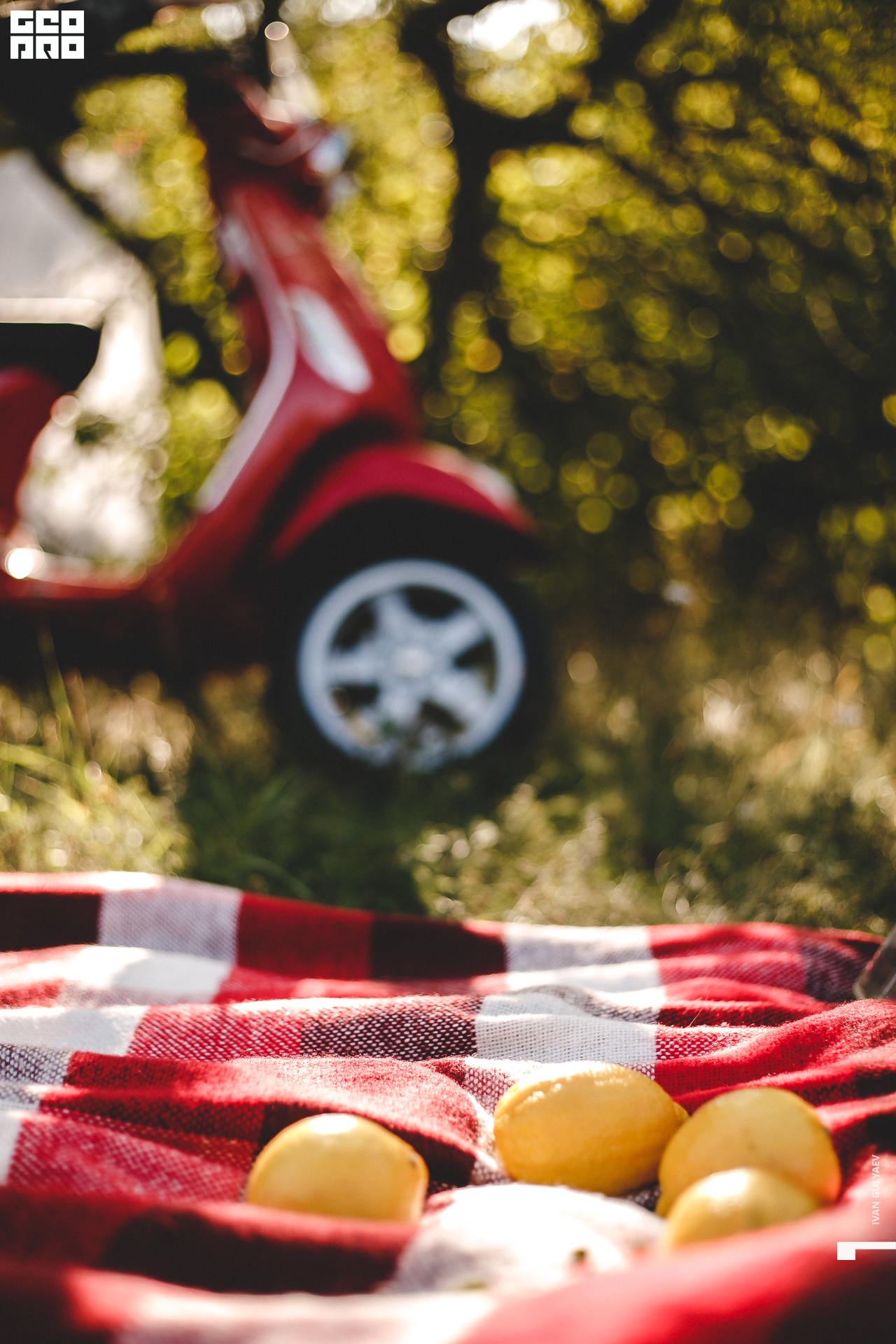 0008 21082019_170036_Gulyaev.jpg