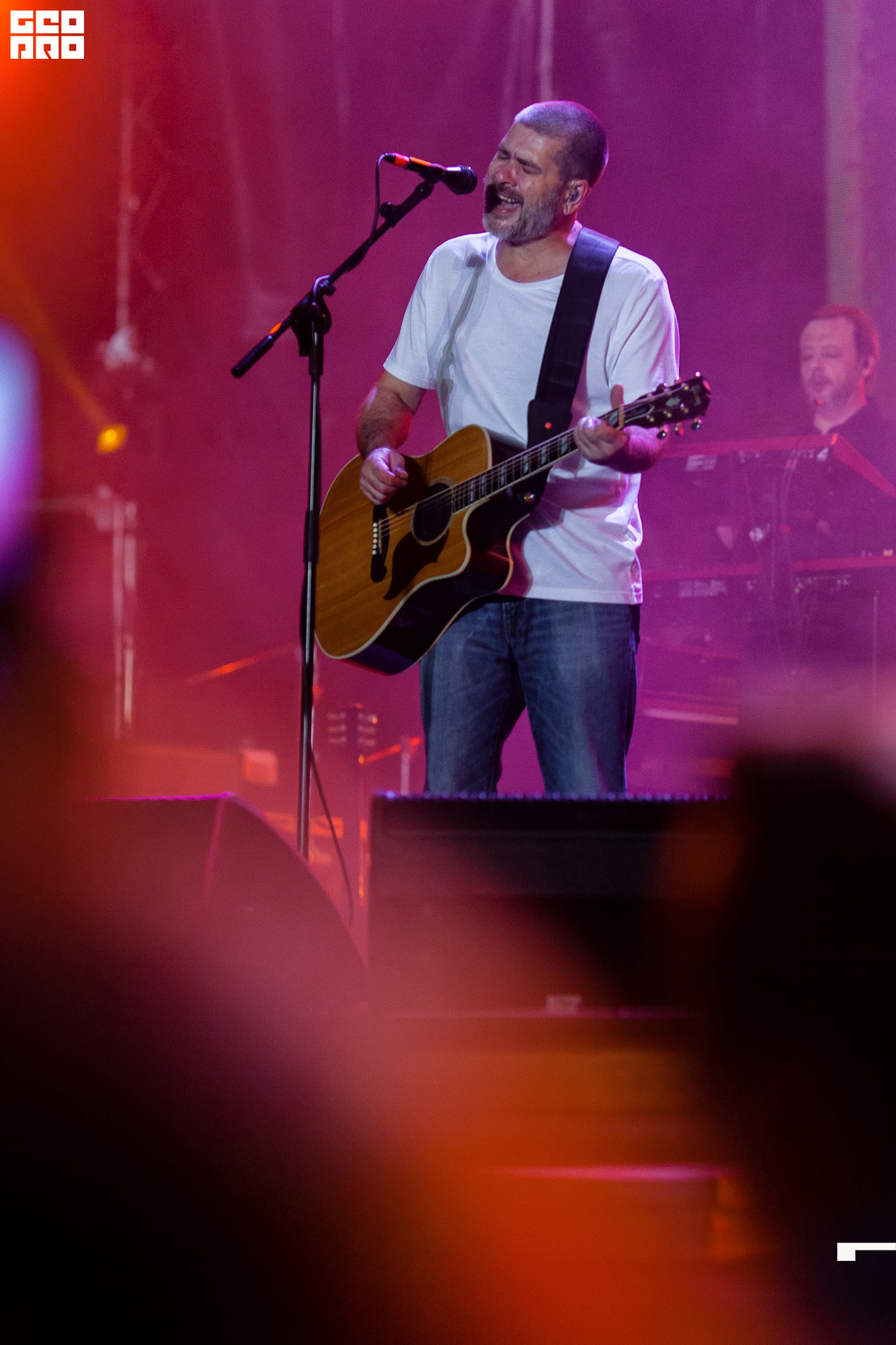 livefest ph-501 копия.jpg