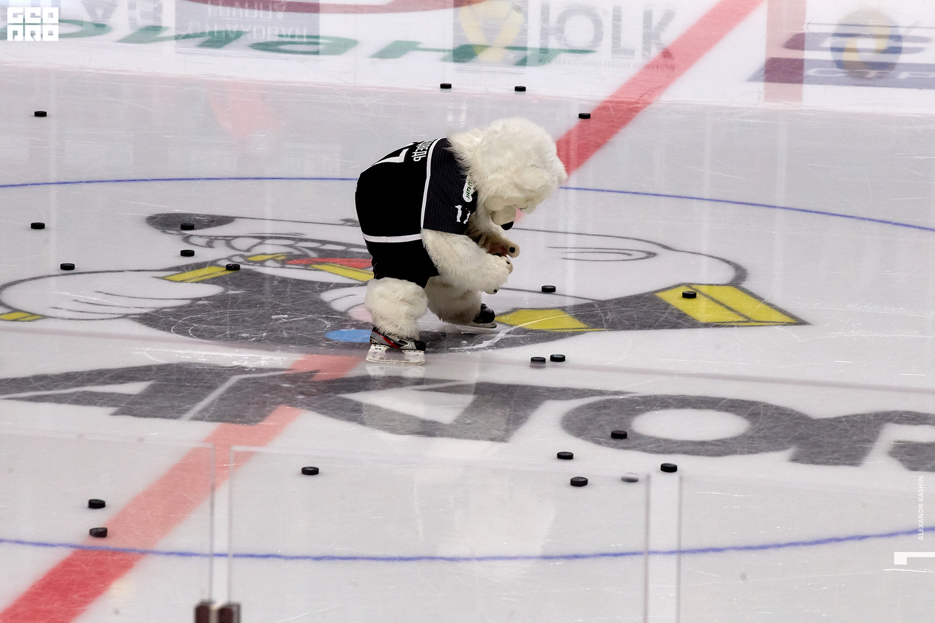 2019-09-27 17-30-00_Kashin_0133.jpg