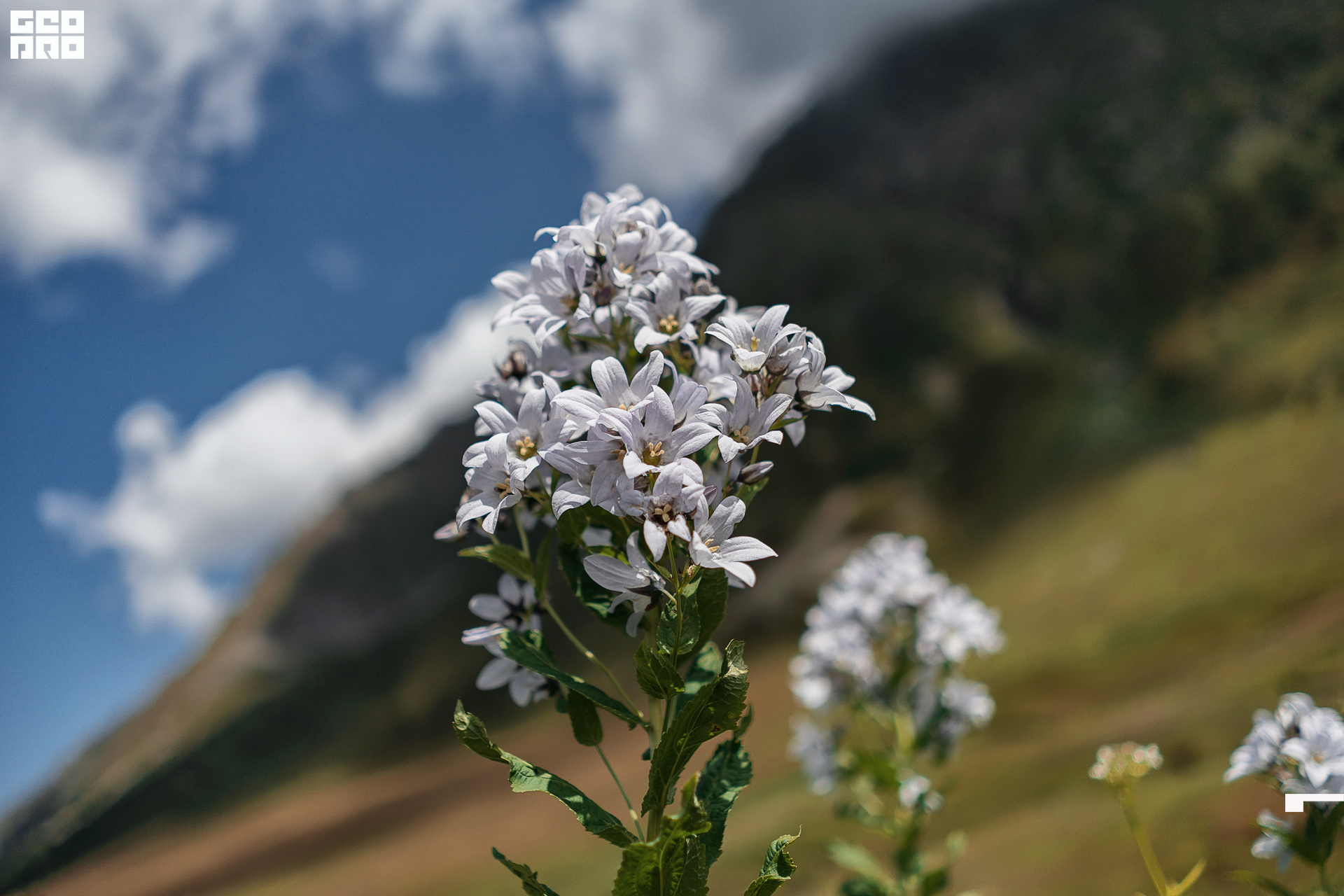 Jpeg-286 копия.jpg