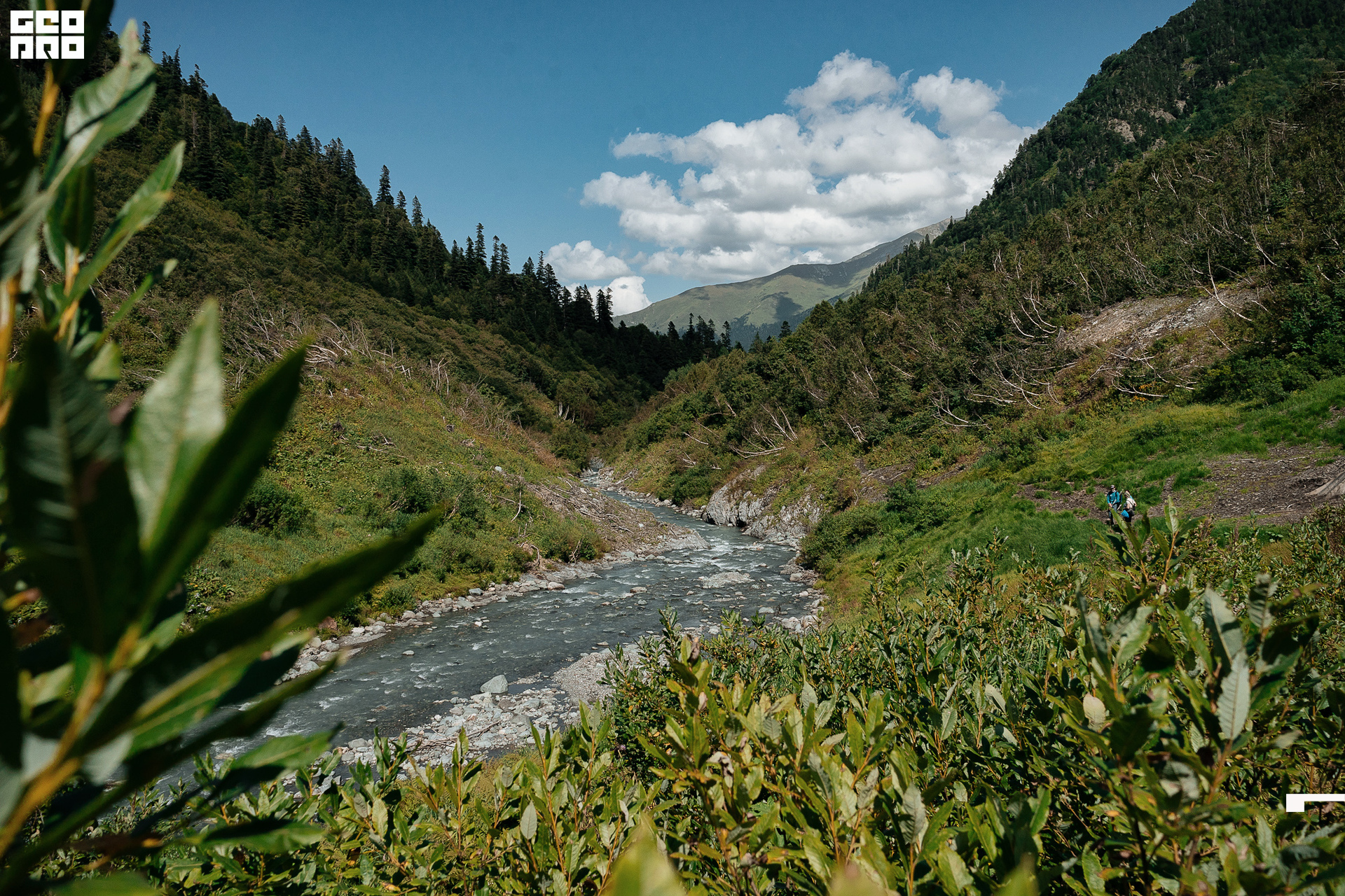 Jpeg-28 копия.jpg