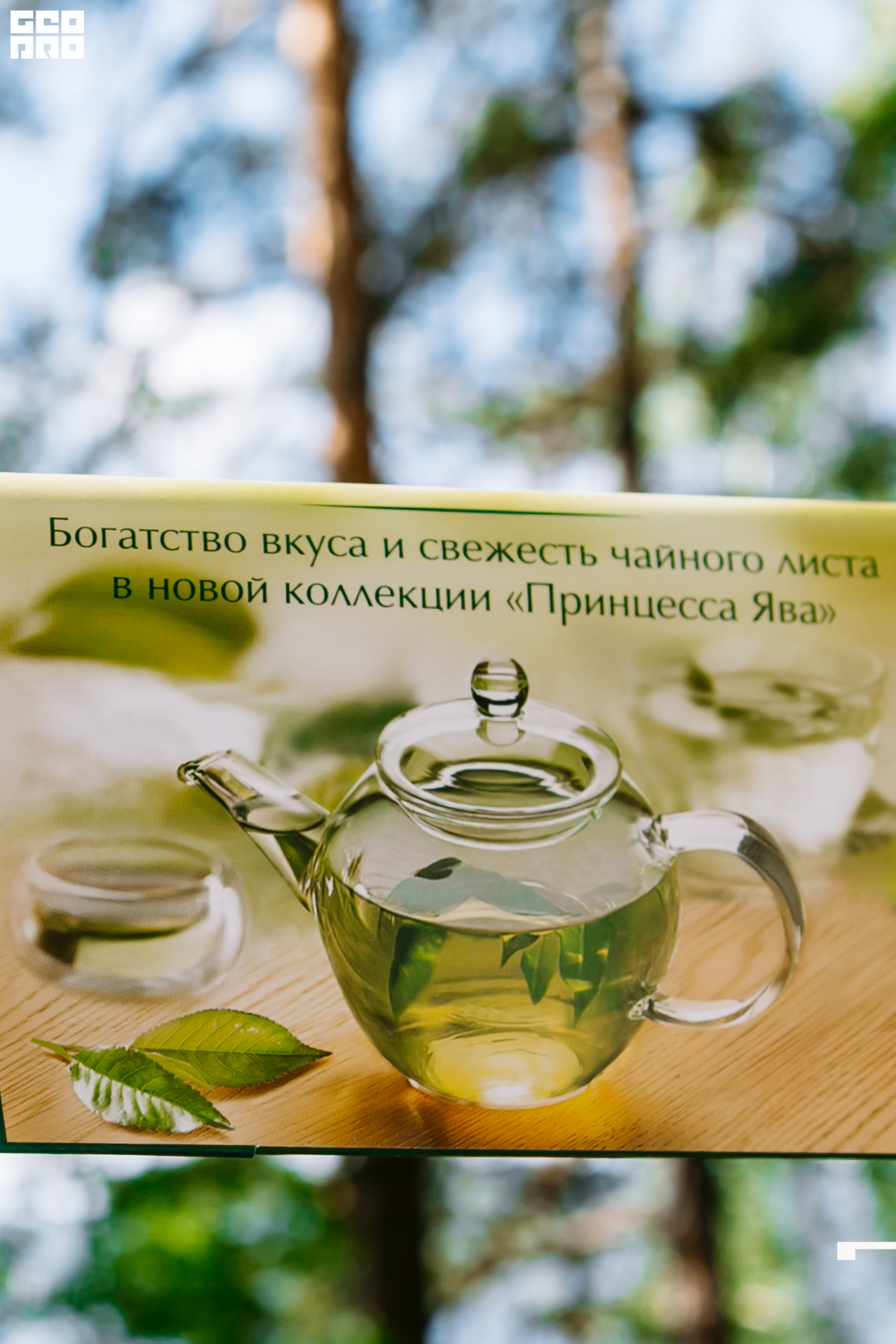 0172 190825 Organic nation.jpg