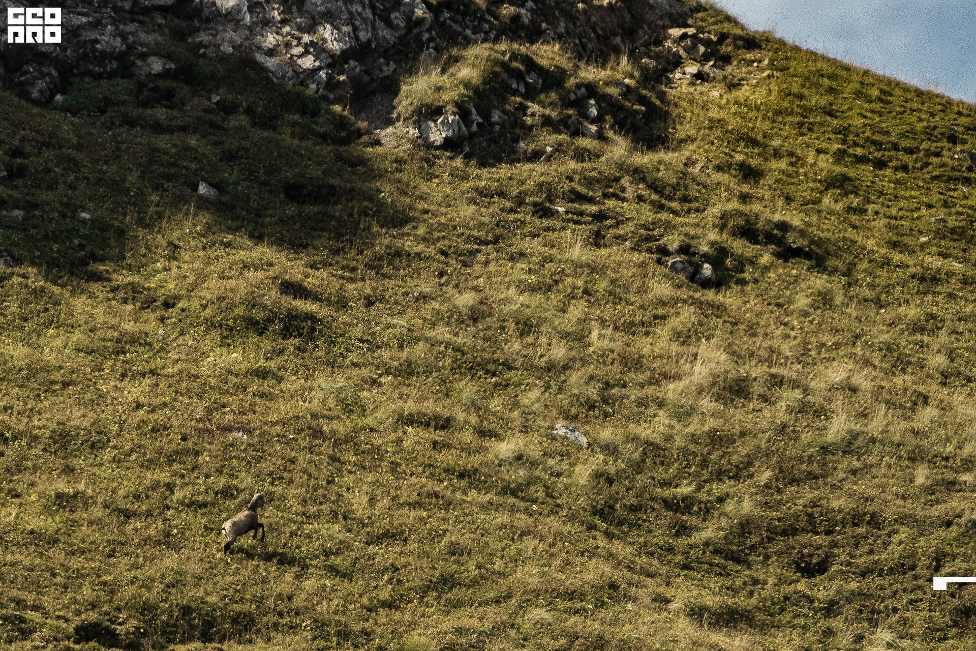 Jpeg-216 копия.jpg