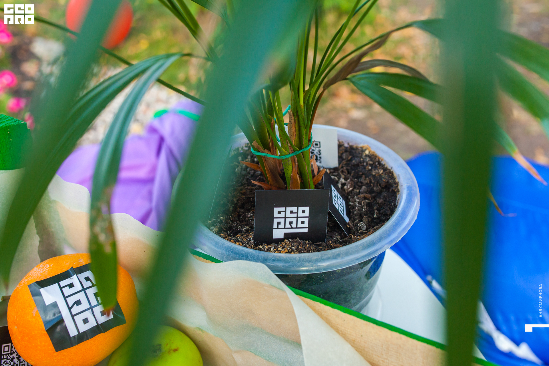 2019-08-22 18-09-04_SMIRNOVA.JPG