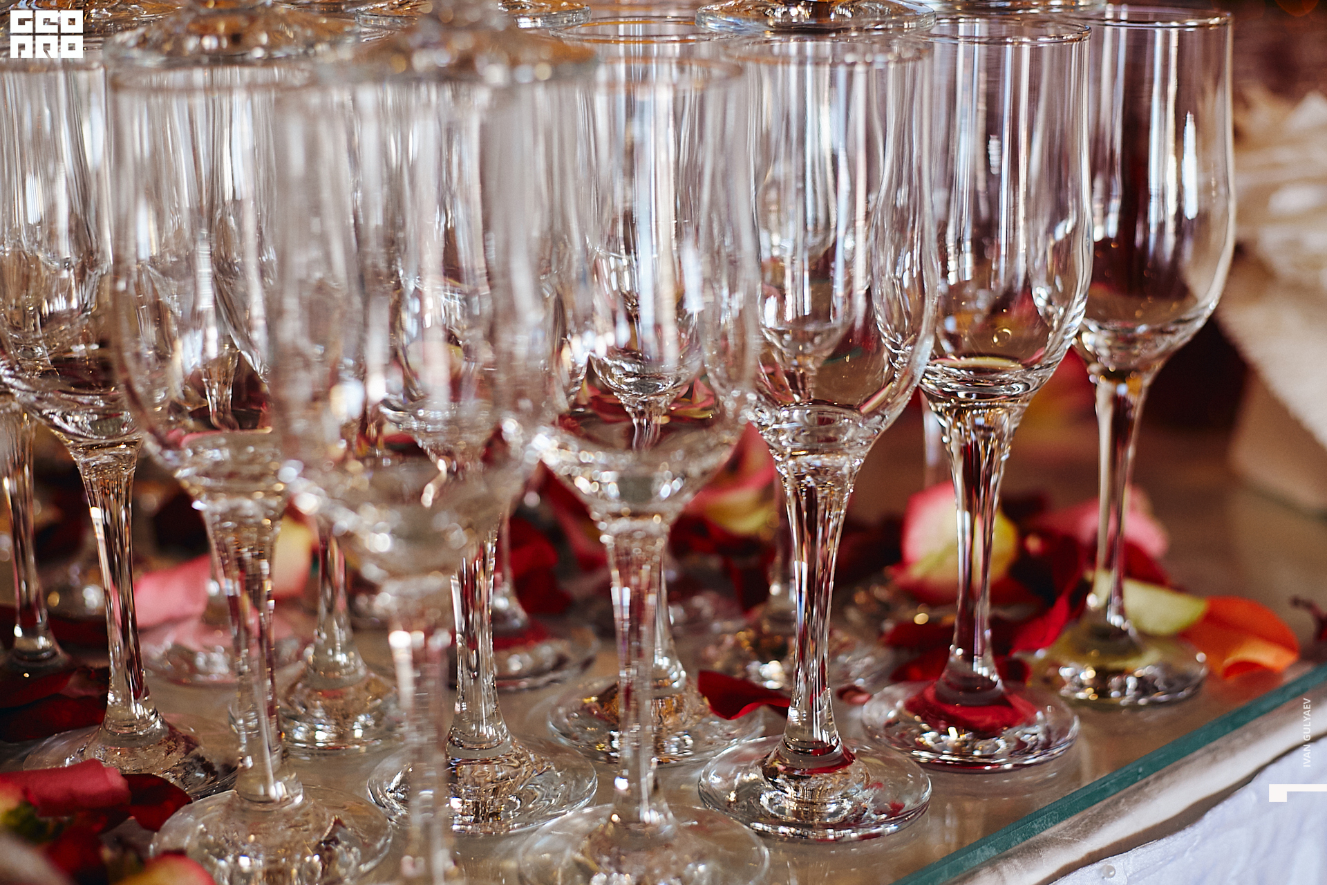 0022 07082019_162952_Gulyaev.jpg