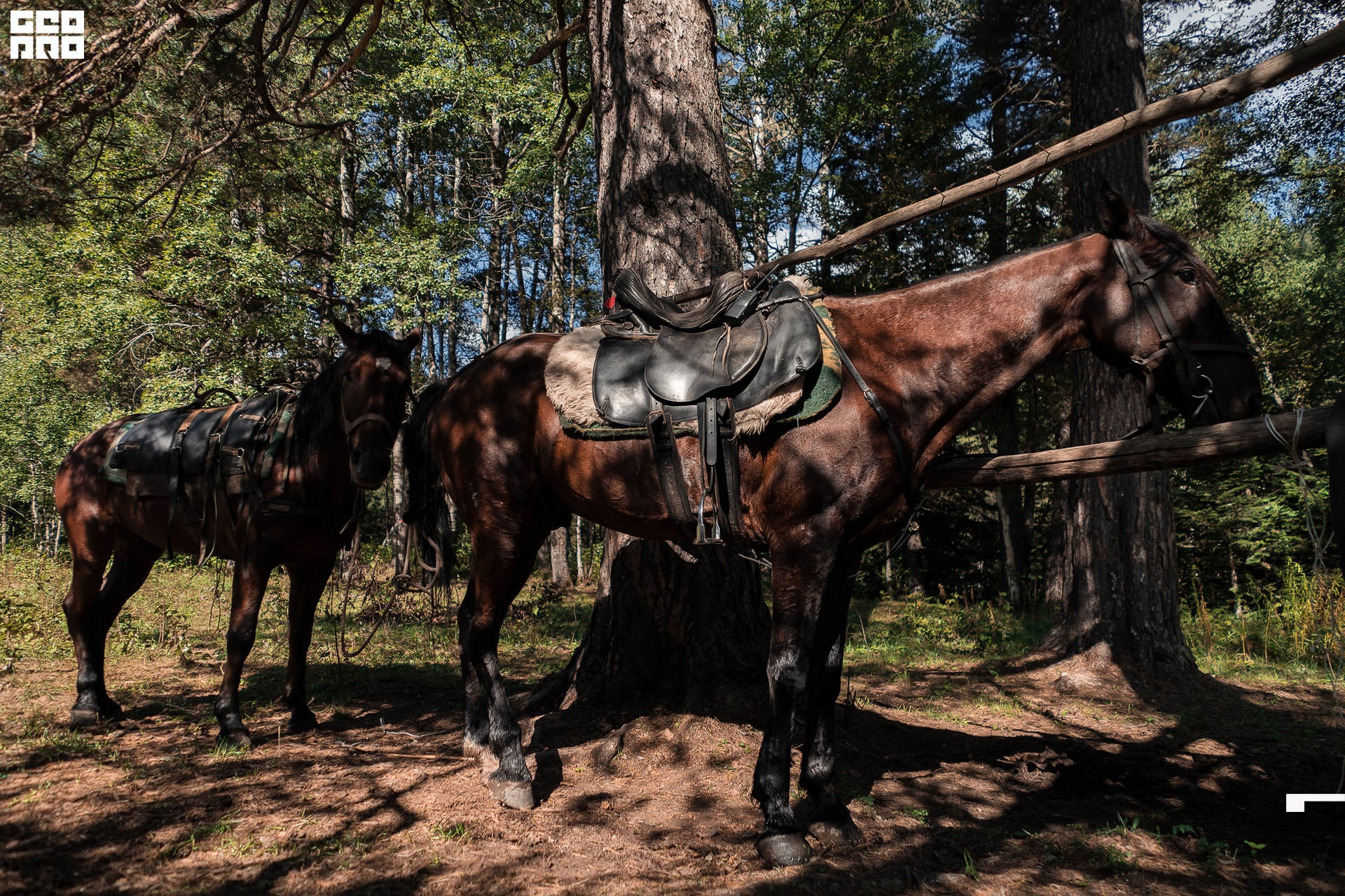 Jpeg-268 копия.jpg