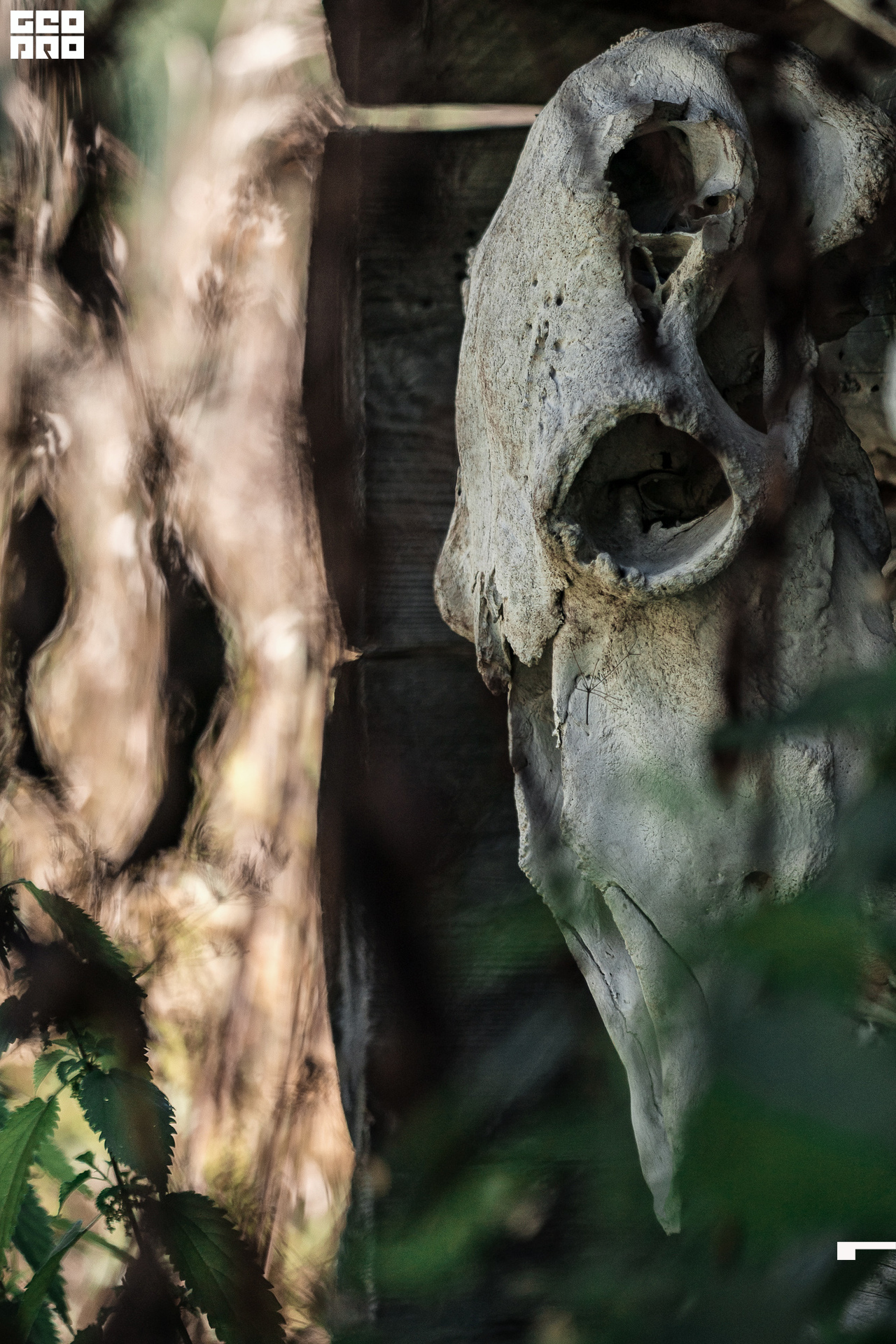 Jpeg-114 копия.jpg