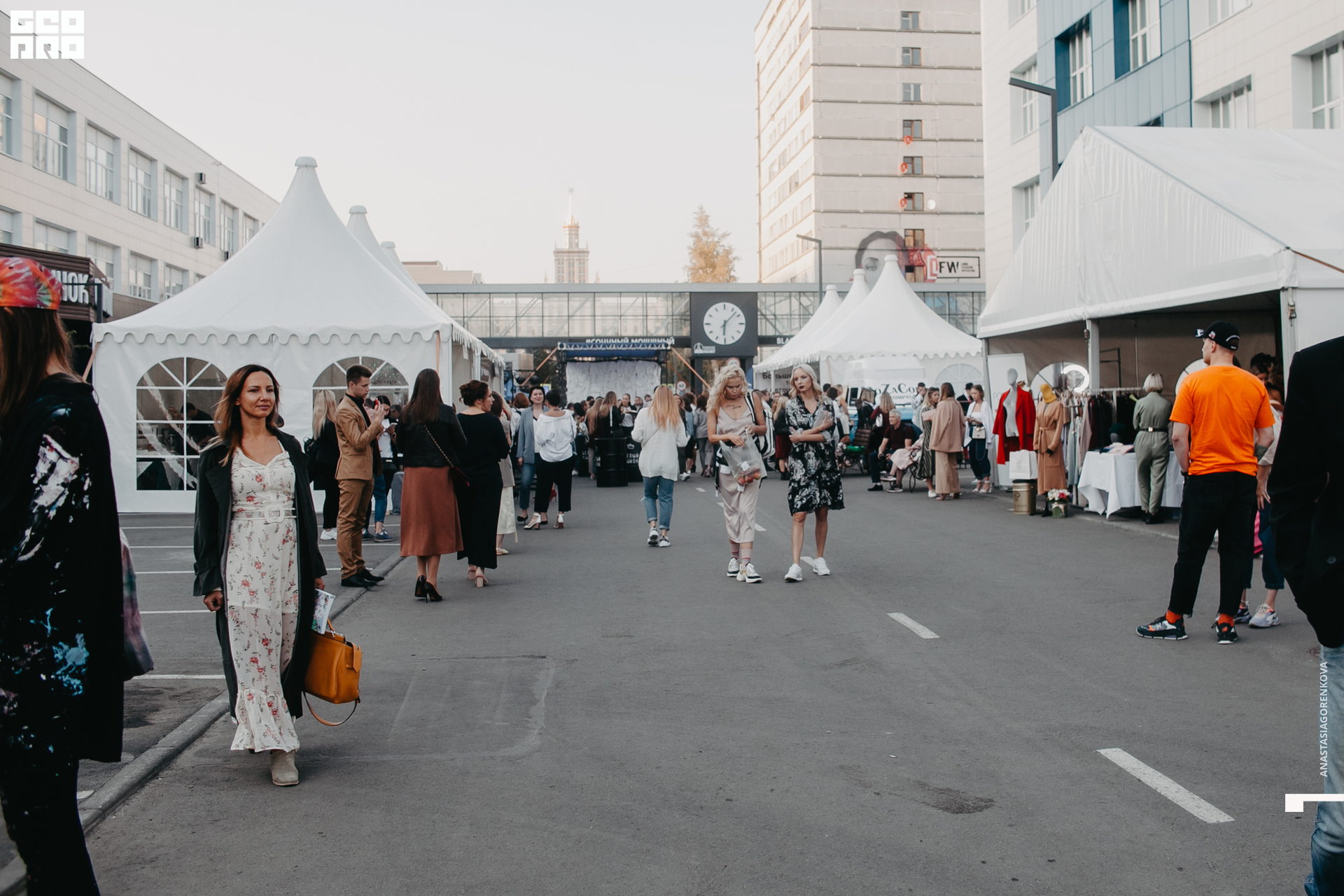 2019-09-14 18-13-59_alenaarchibald_.jpg