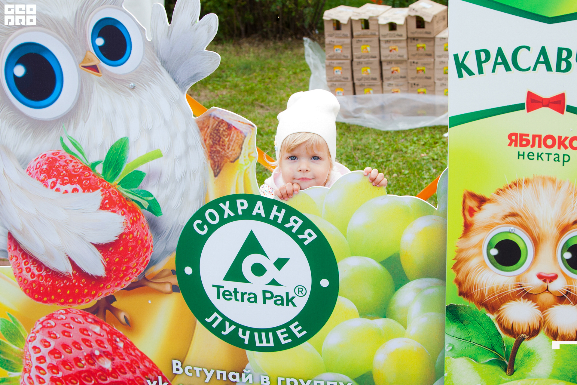 0011 190803 Fresh Fest .jpg