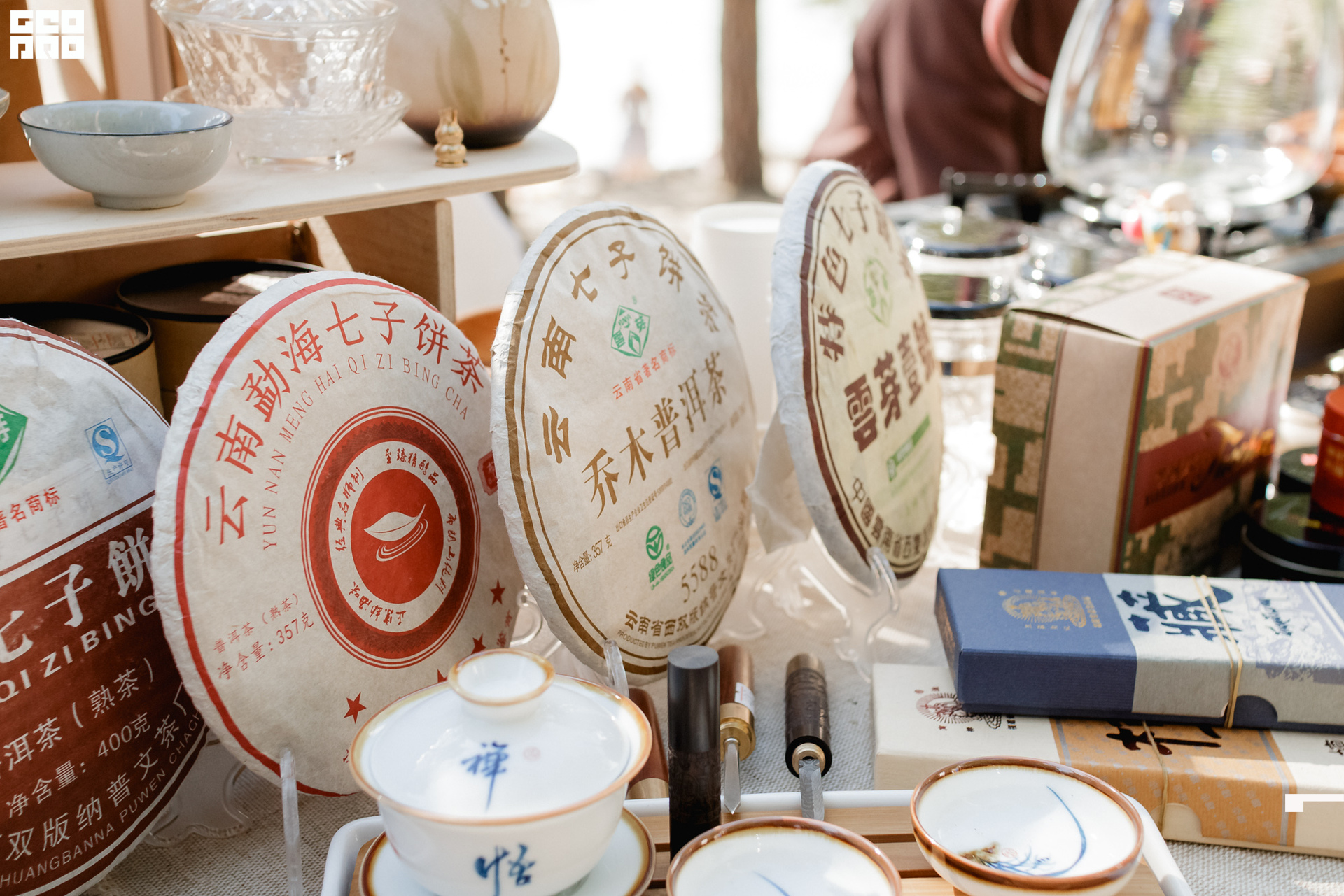 0252 190825 Organic nation.jpg