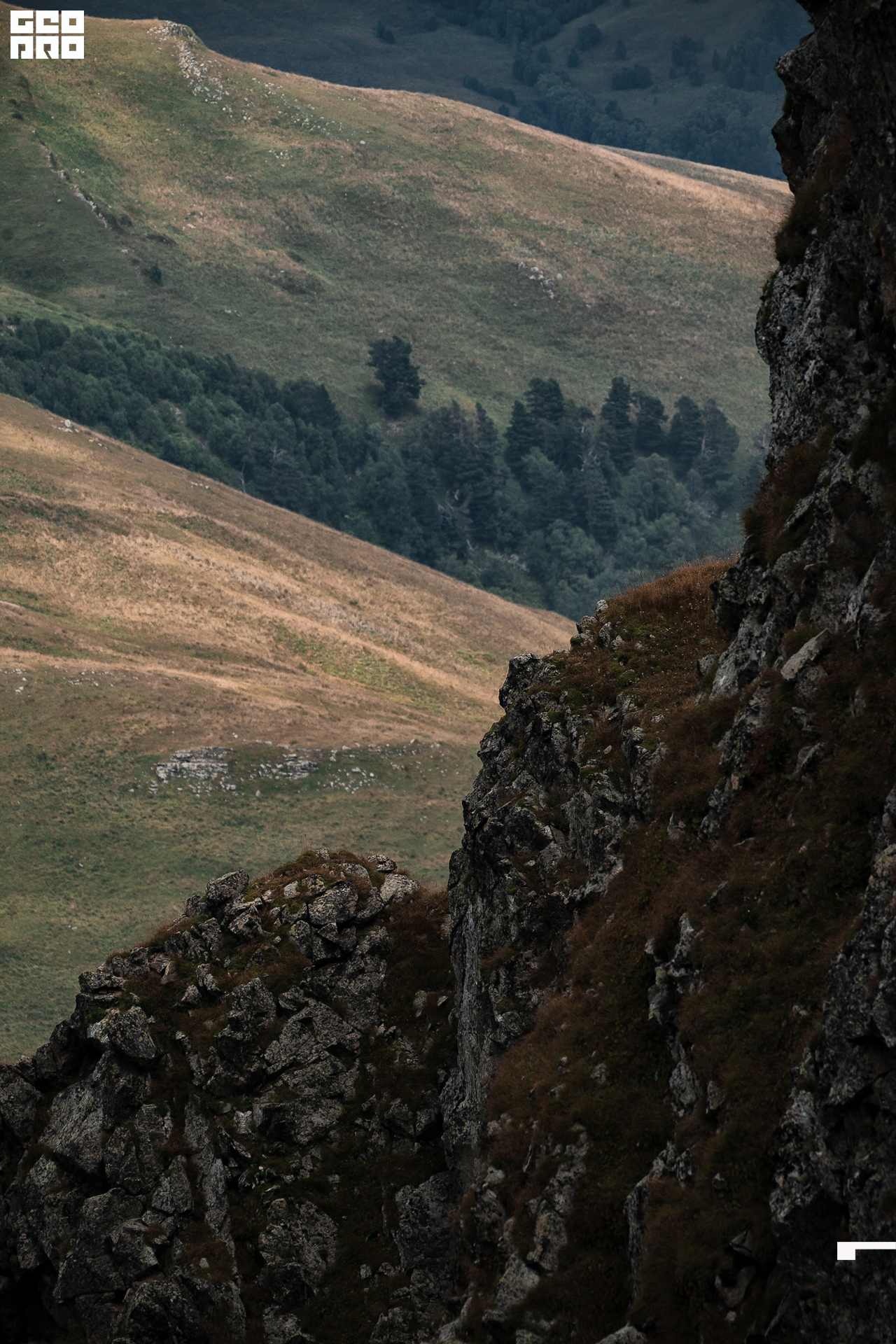 Jpeg-229 копия.jpg