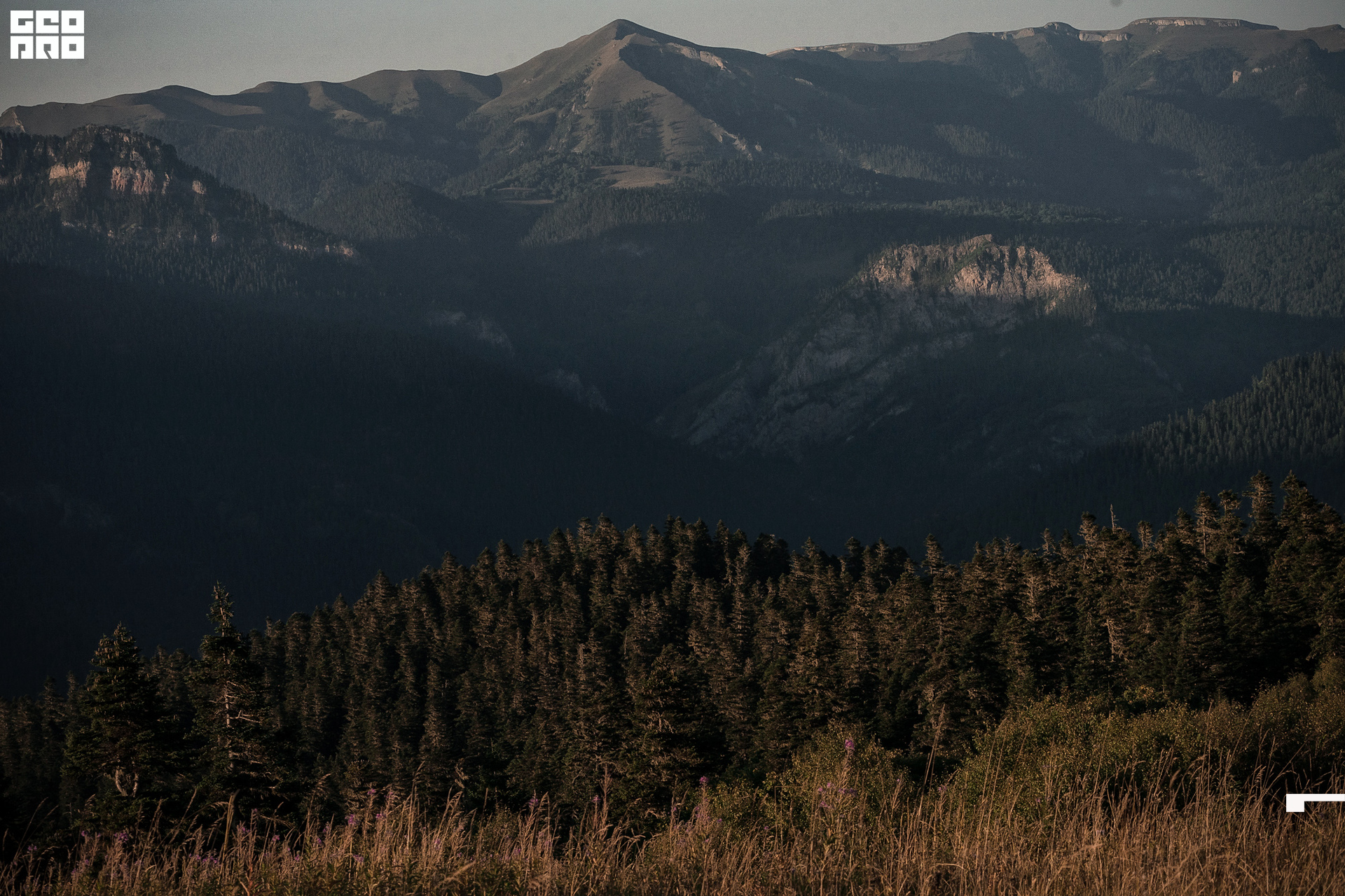 Jpeg-143 копия.jpg