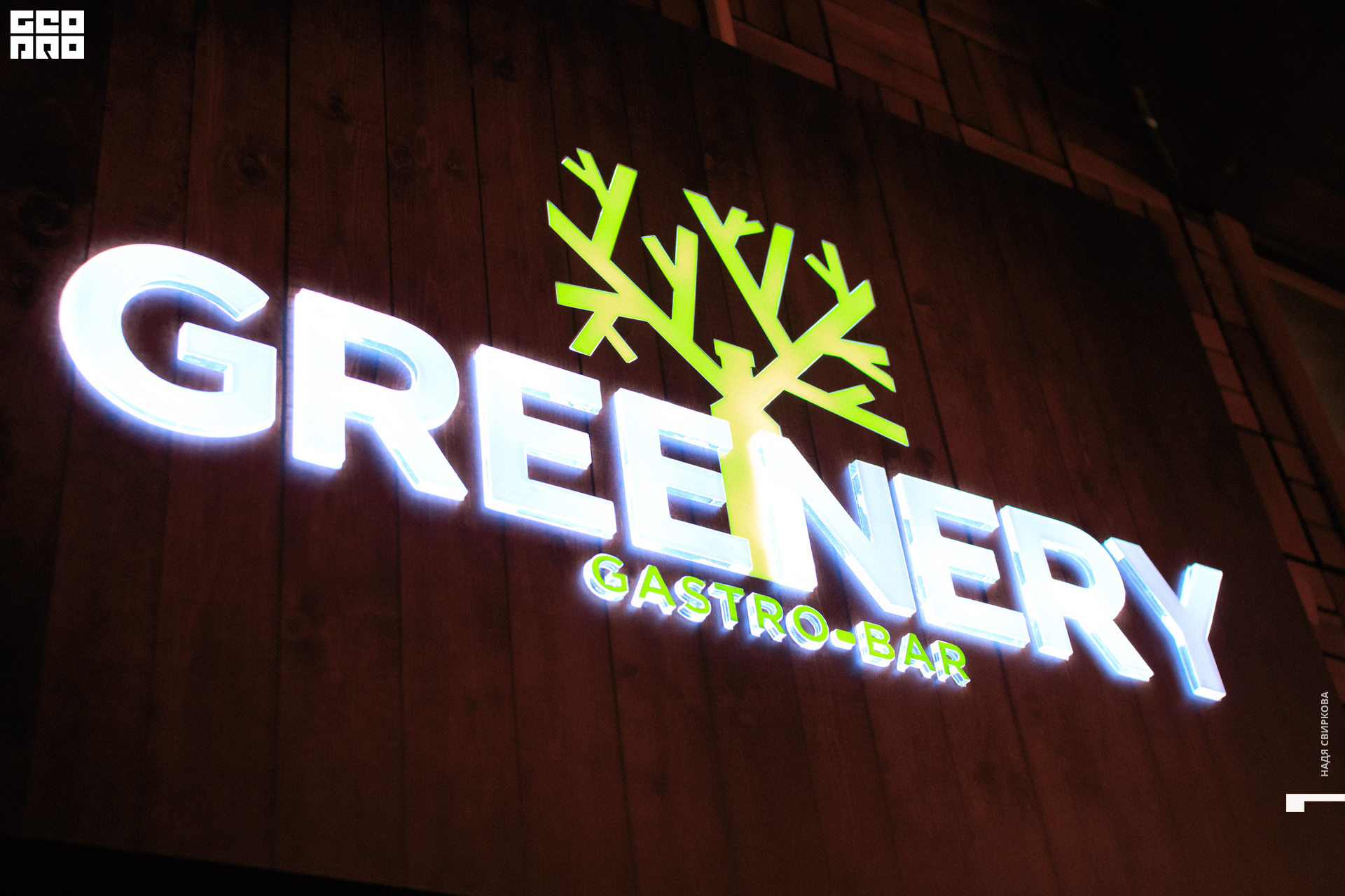 2019-08-06 16-30-01_svirkova_001.jpg