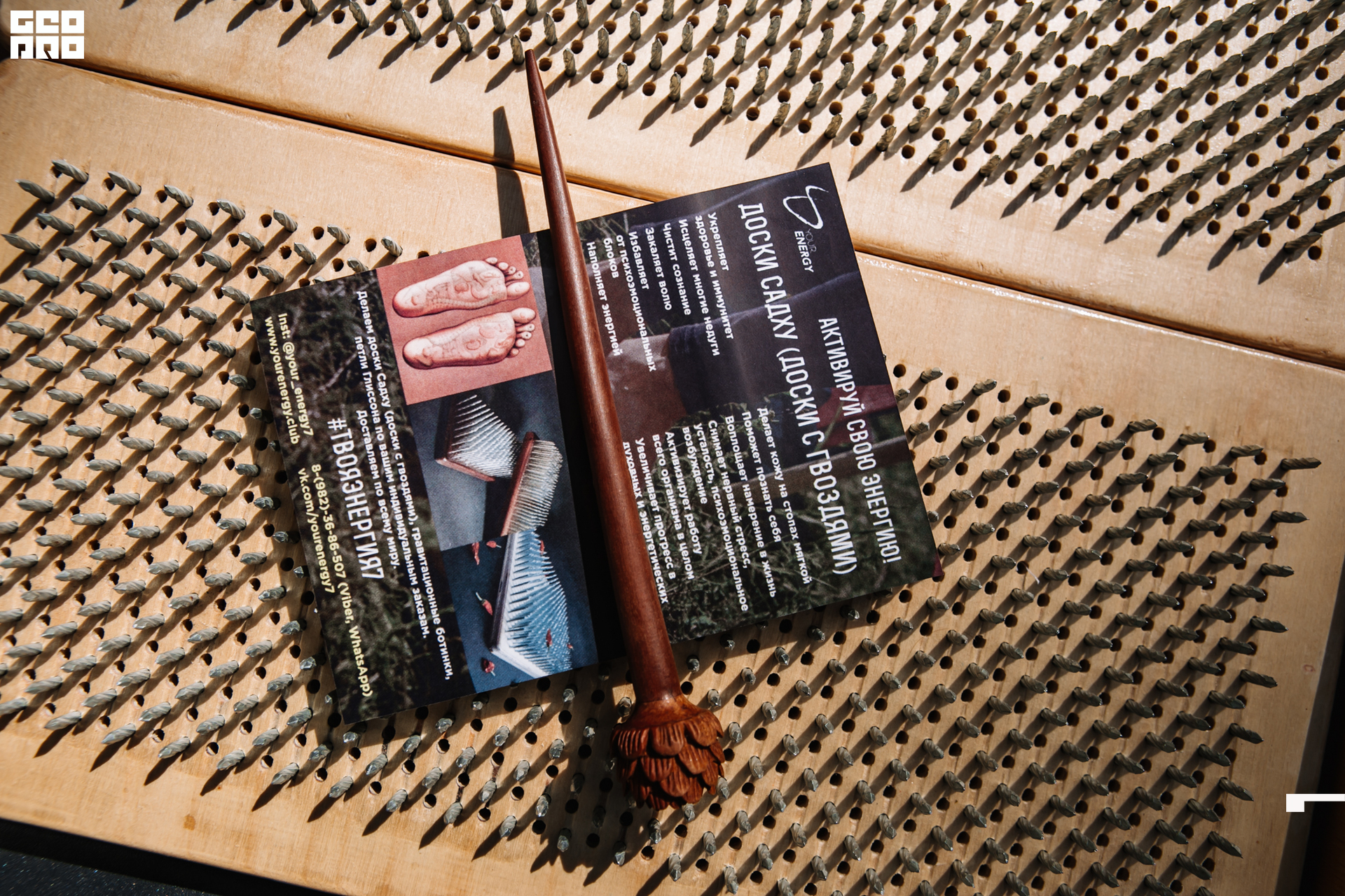 0185 190825 Organic nation.jpg