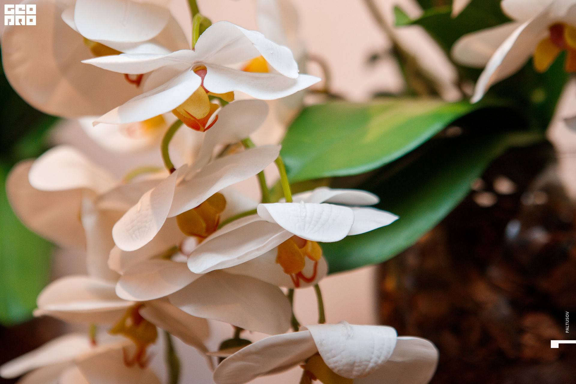 042-2019-09-12-19-17-40 - Paltusov.JPG