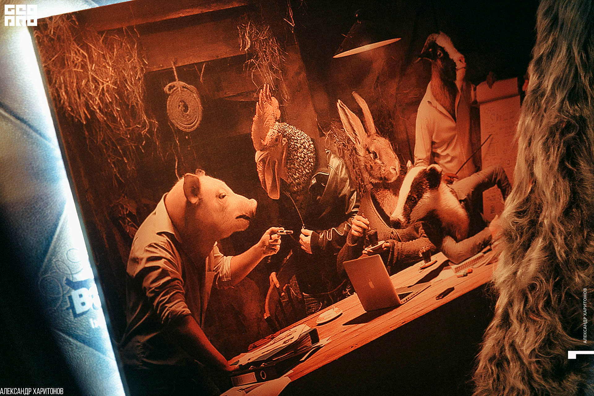 IMG_2722 копия.jpg