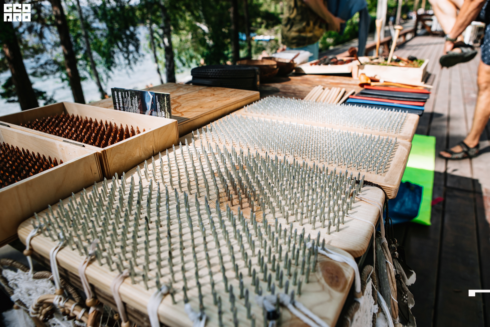 0182 190825 Organic nation.jpg