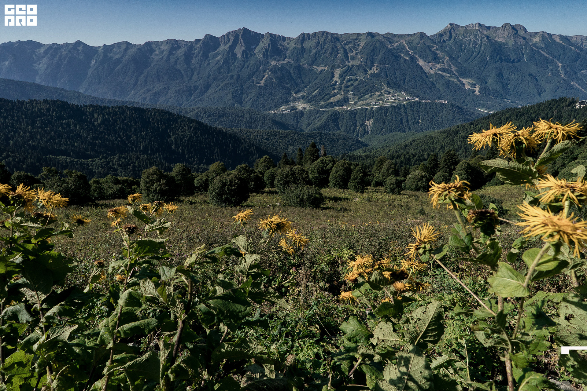 Jpeg-4 копия.jpg