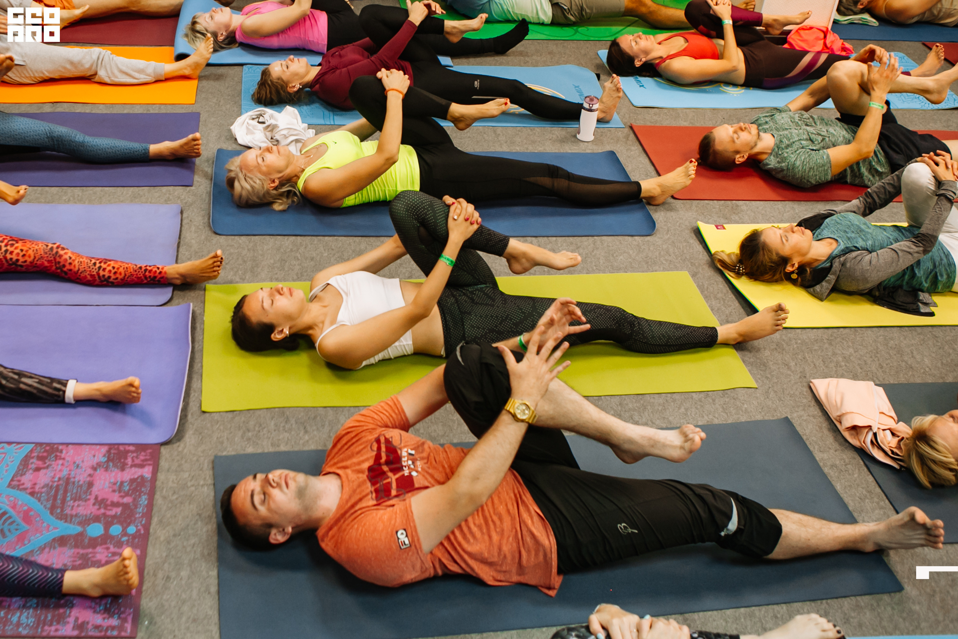 0144 190825 Organic nation.jpg