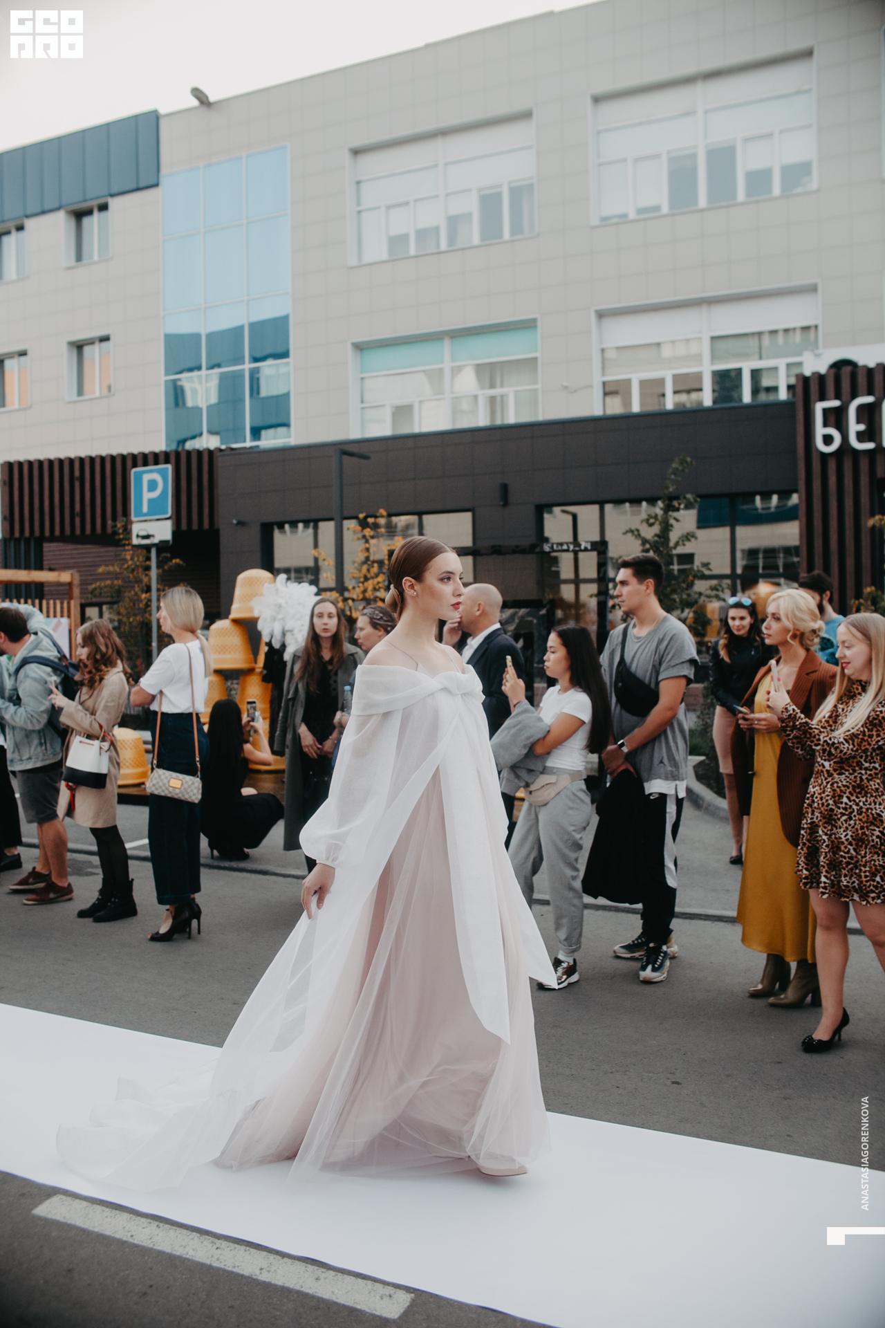 2019-09-14 18-35-56_alenaarchibald_.jpg