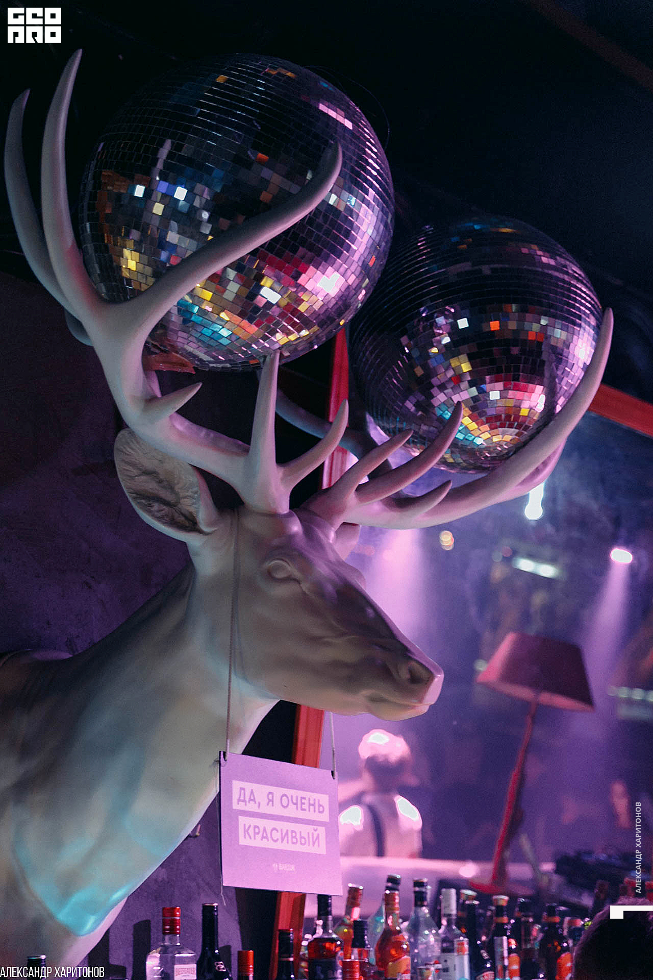 IMG_2734 копия.jpg