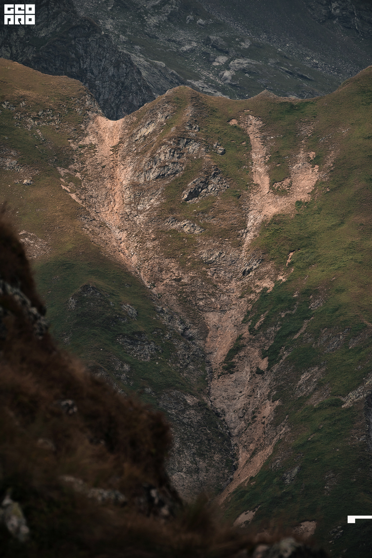 Jpeg-228 копия.jpg