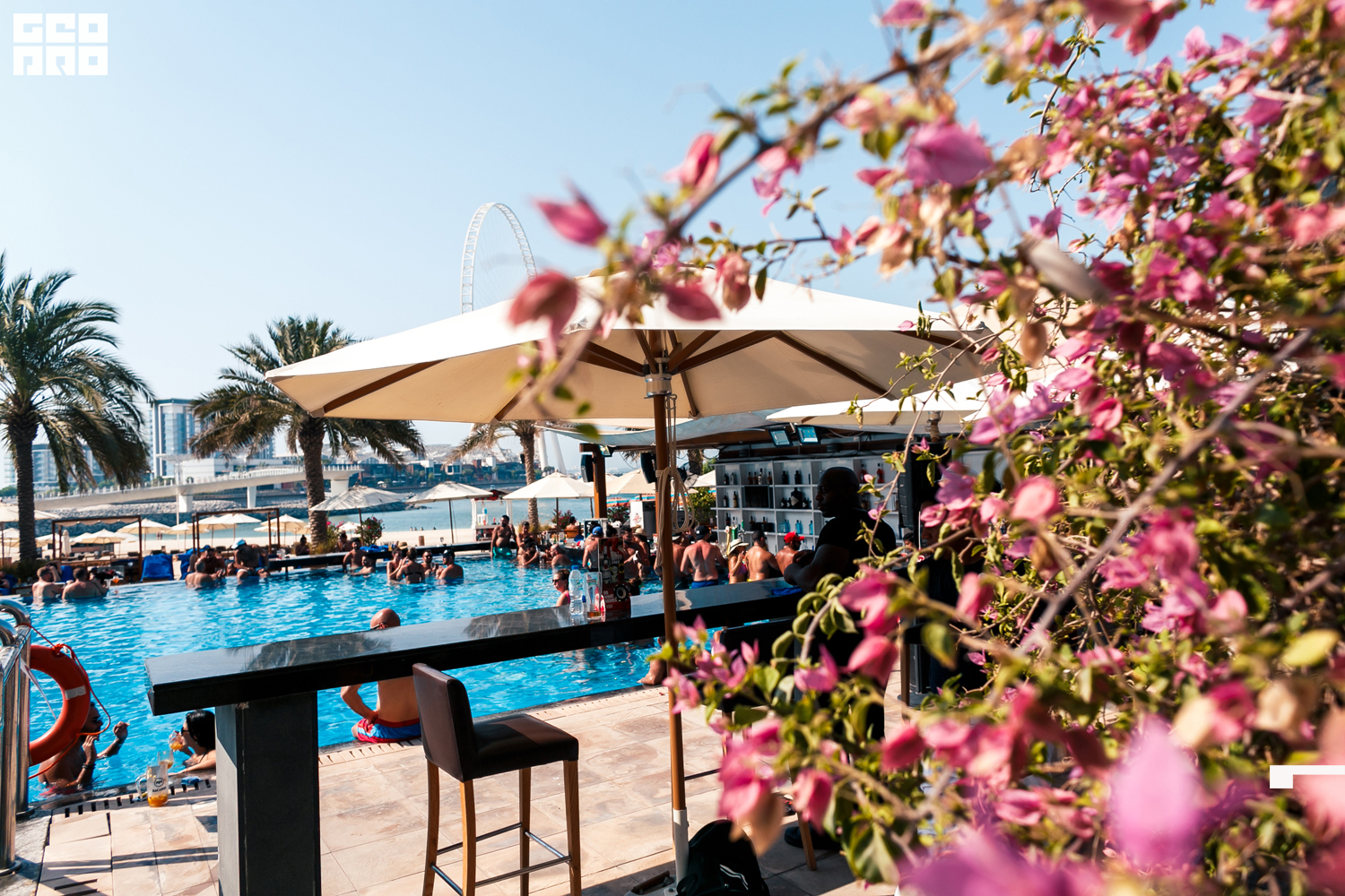 Areia (28 of 80).jpg