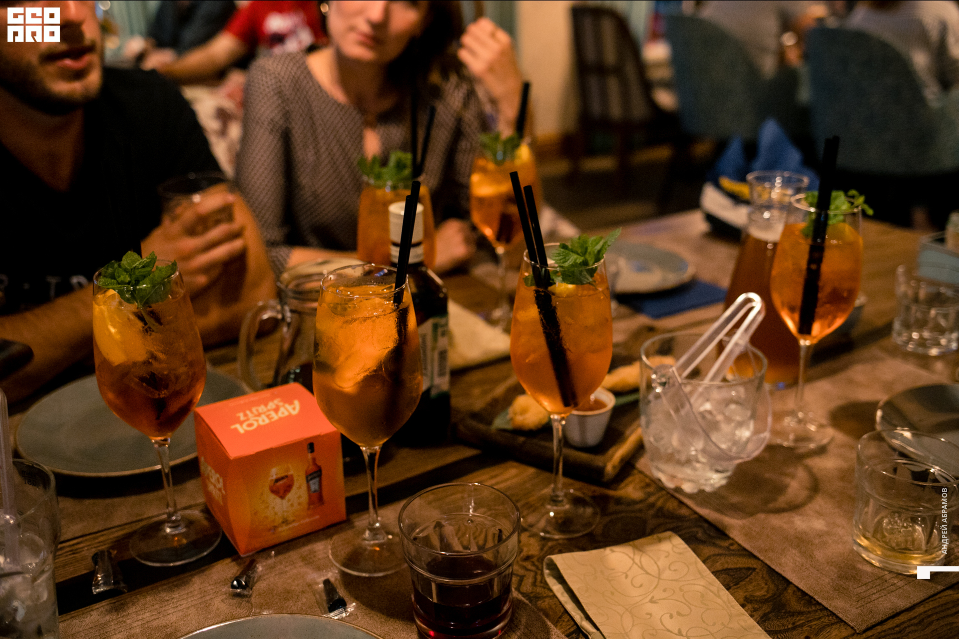 020819 Птичка Абрамов065.jpg