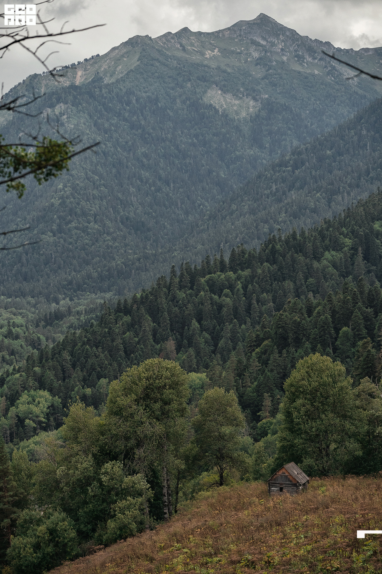 Jpeg-253 копия.jpg