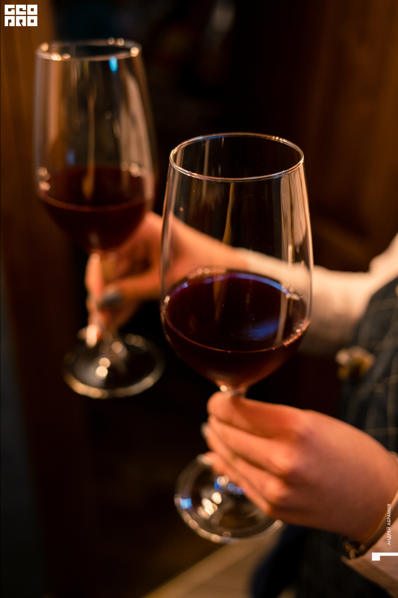 020819 Птичка Абрамов062.jpg