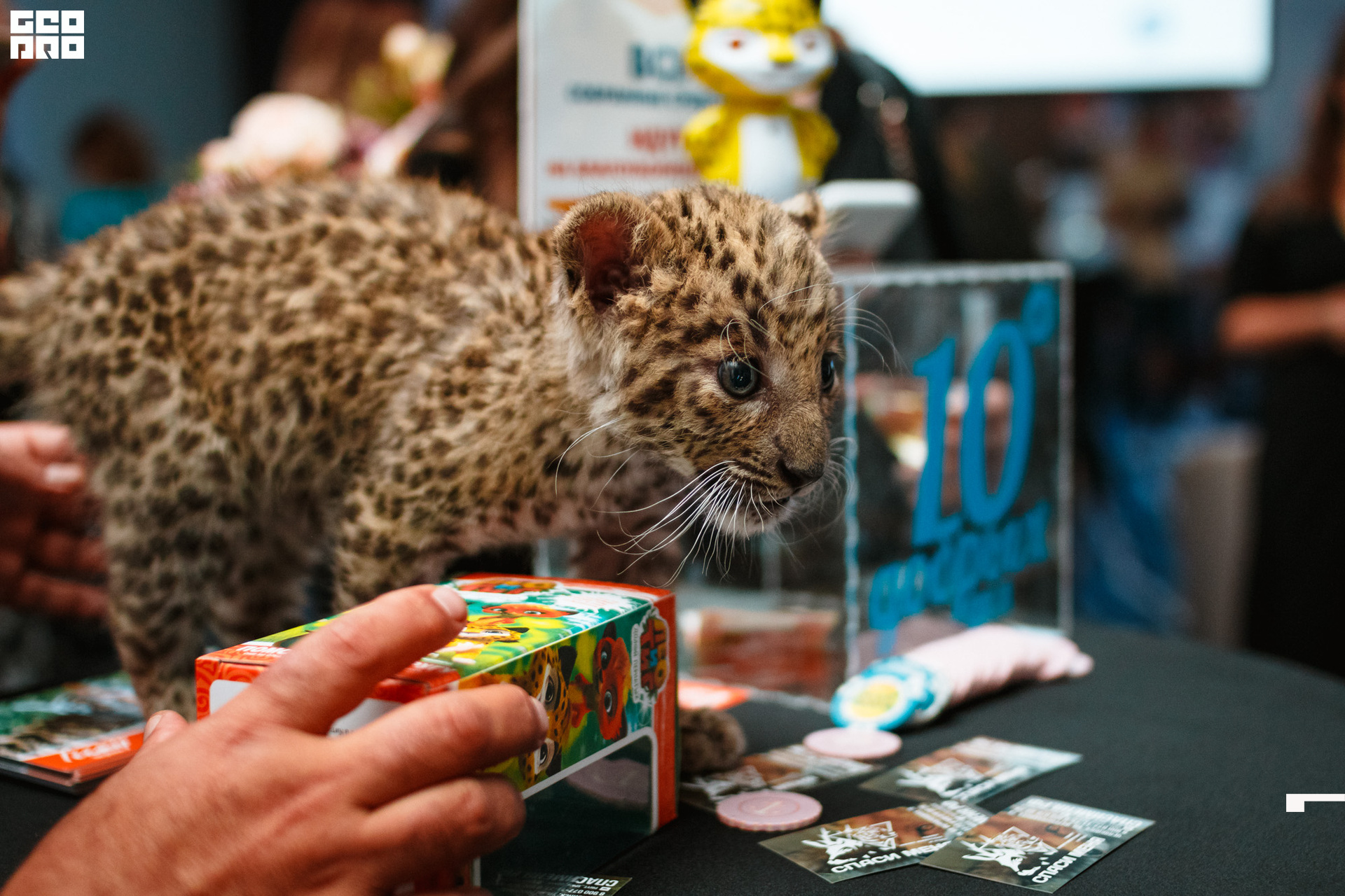 0052 190830_ДДД.jpg