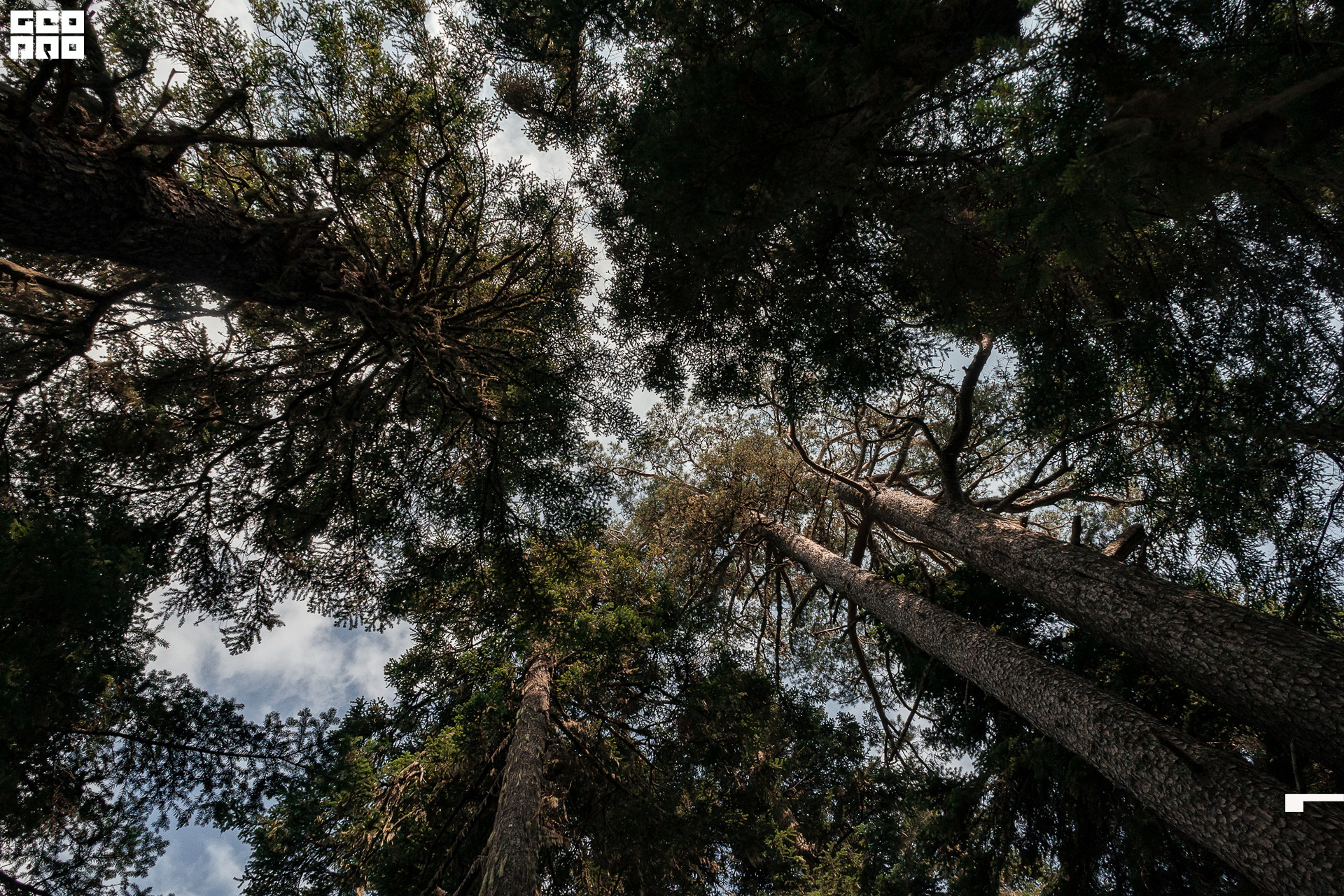 Jpeg-251 копия.jpg