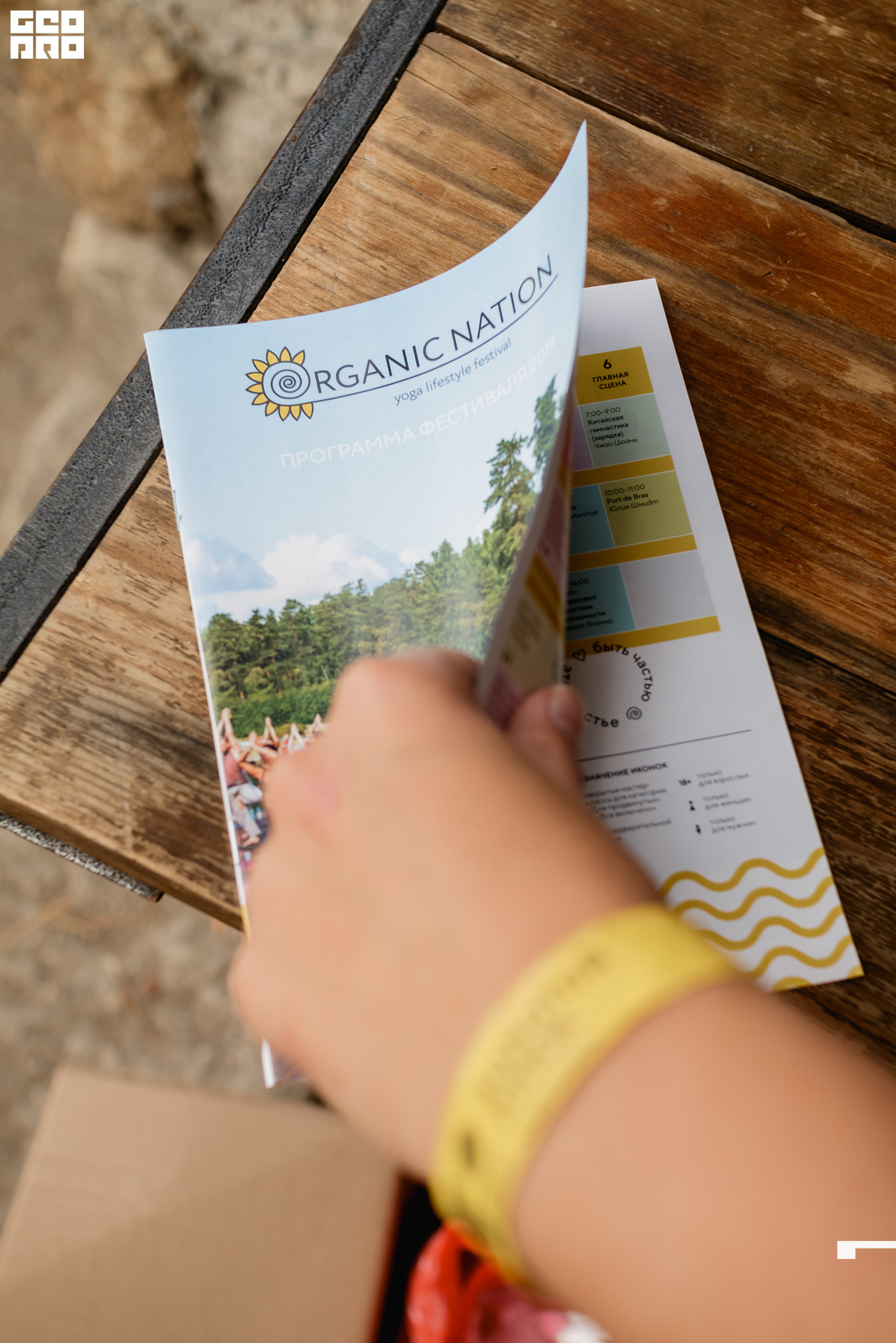 0311 190825 Organic nation.jpg