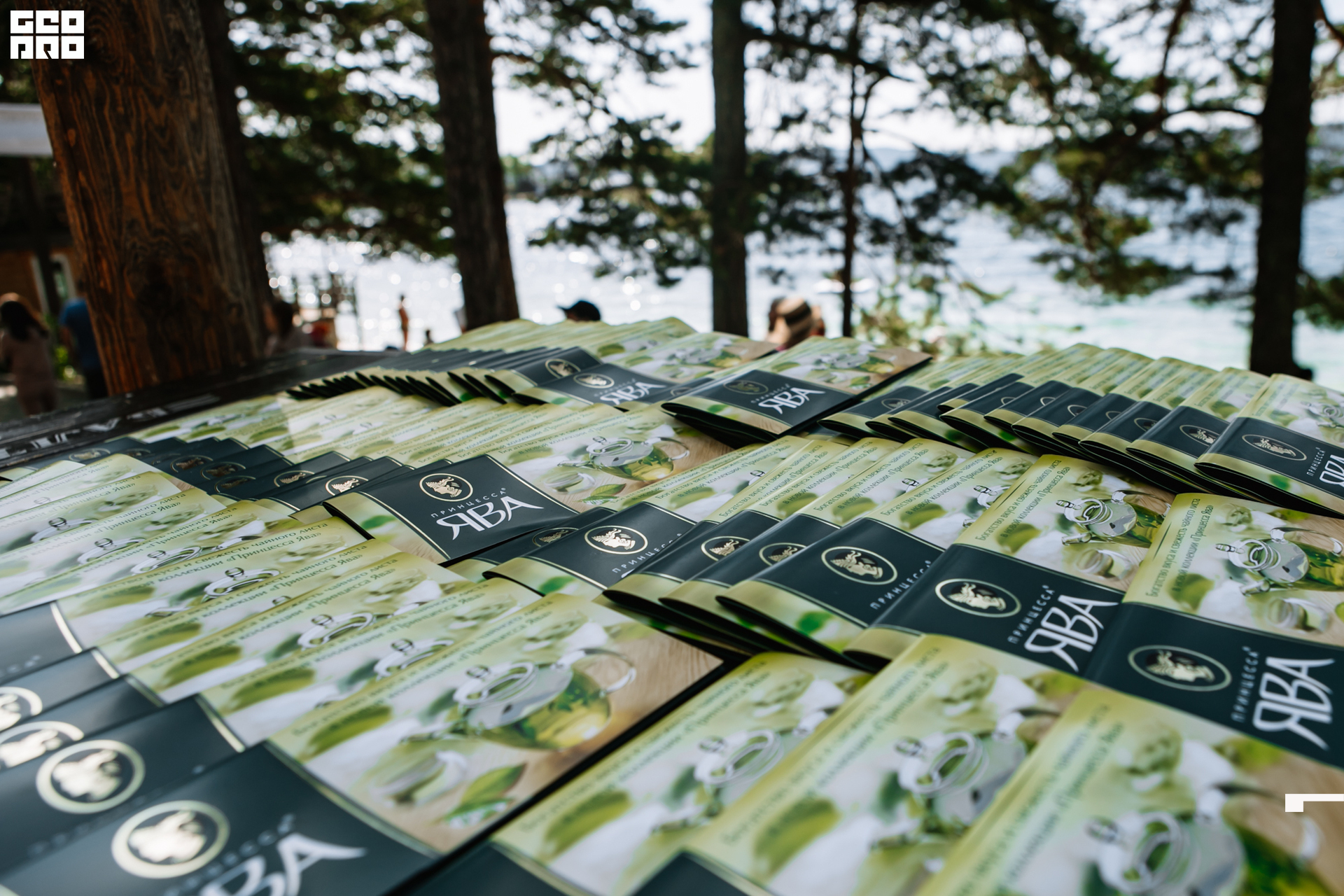 0096 190825 Organic nation.jpg