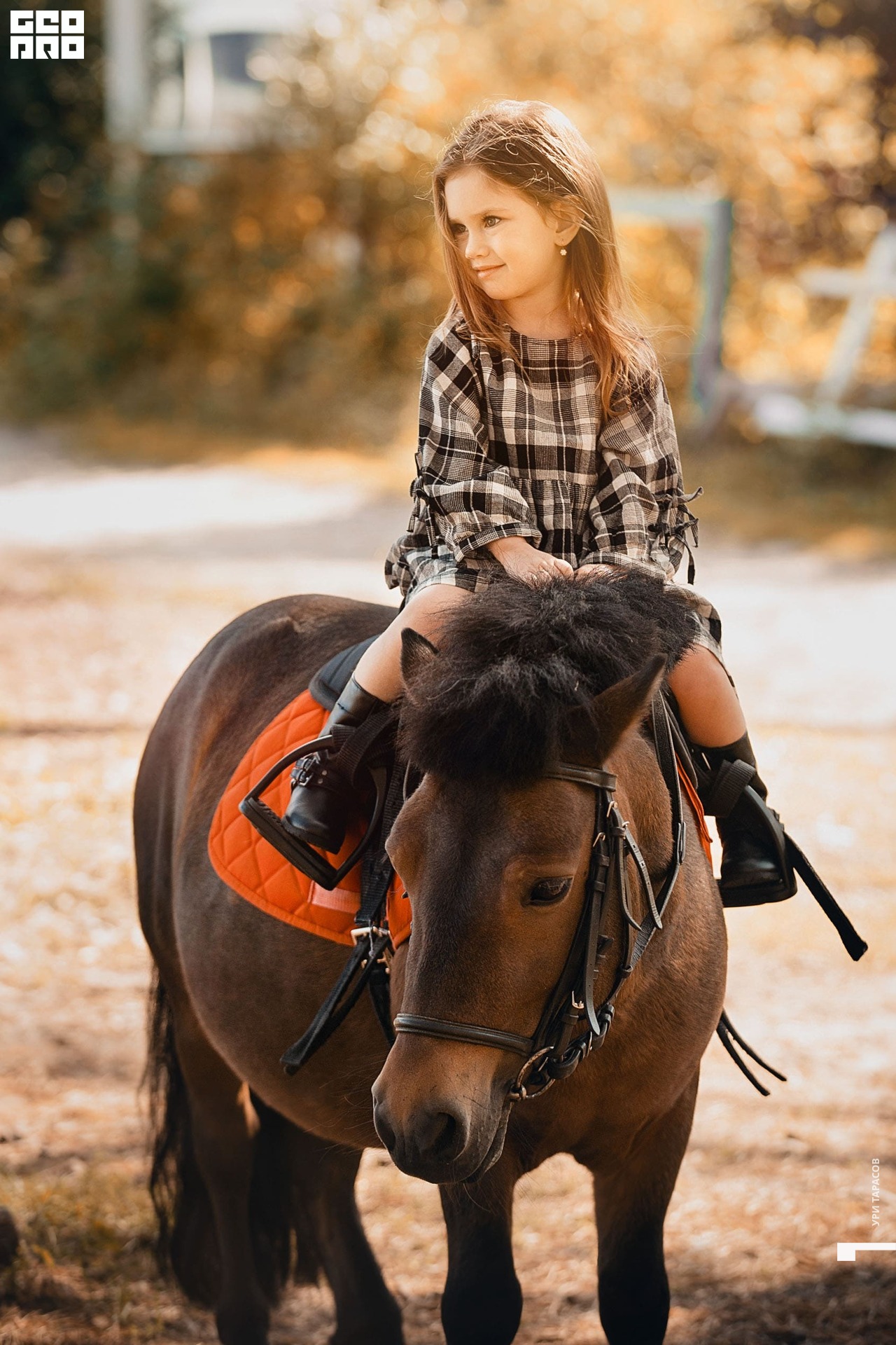 19-09-12 11-50-16_uri.jpg