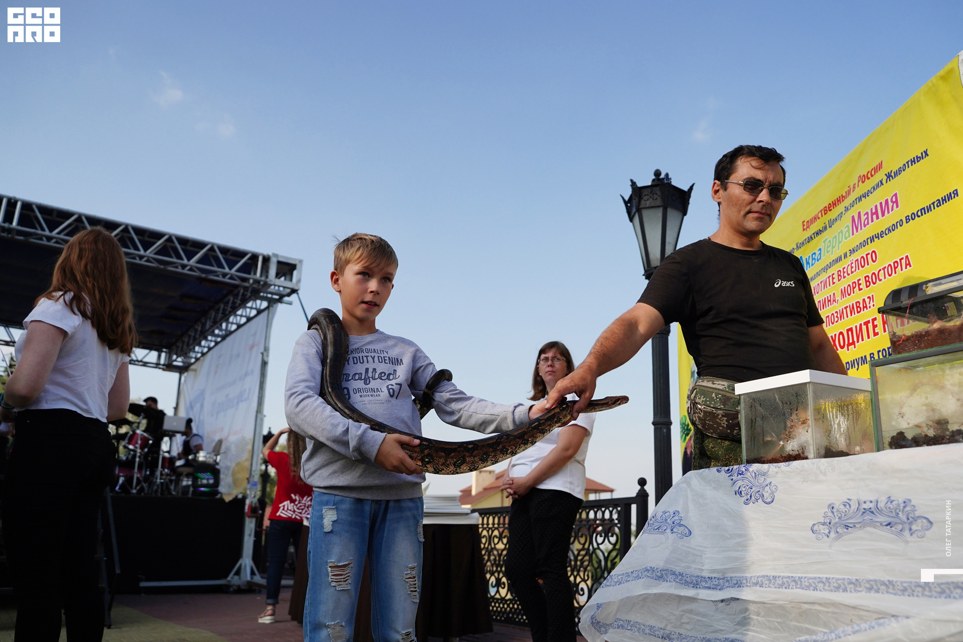 19-08-22 17-37-36_Татаркин.jpg