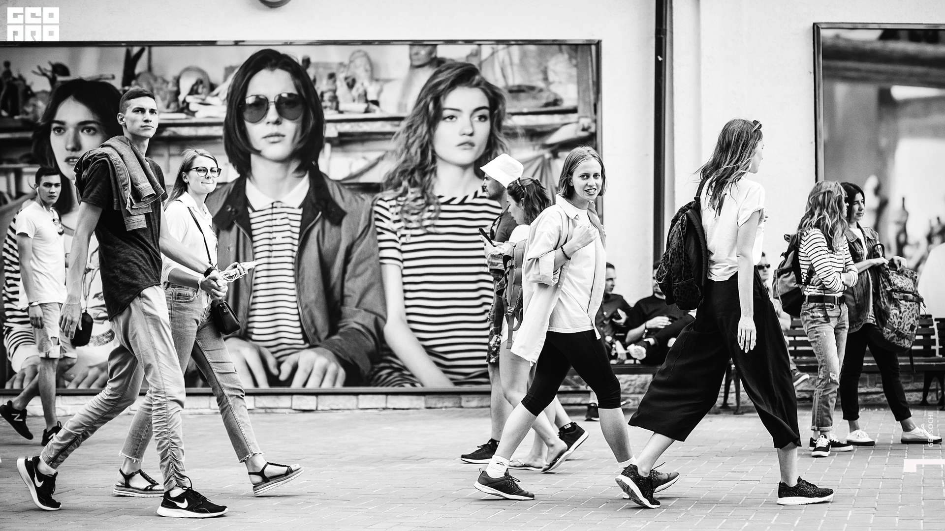 11.08 livefest1 (1).jpg