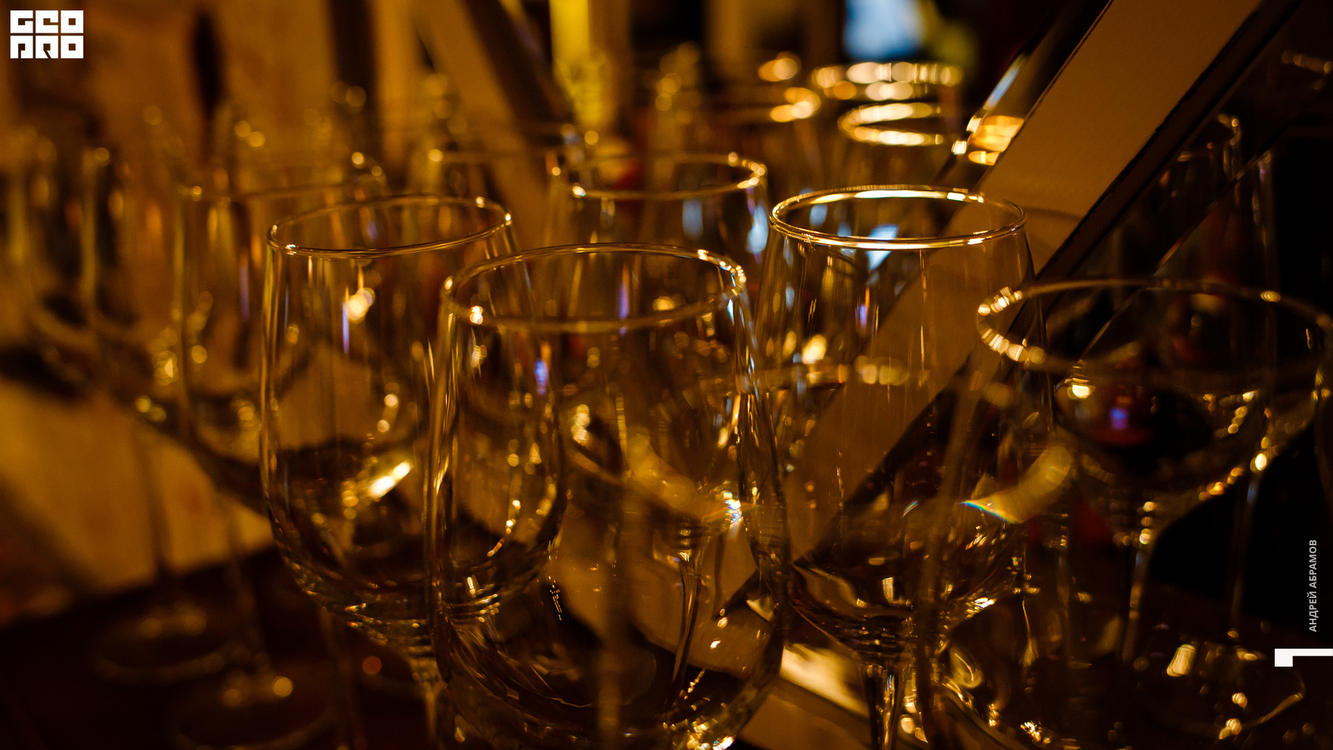 300819 Птичка Абрамов059.jpg