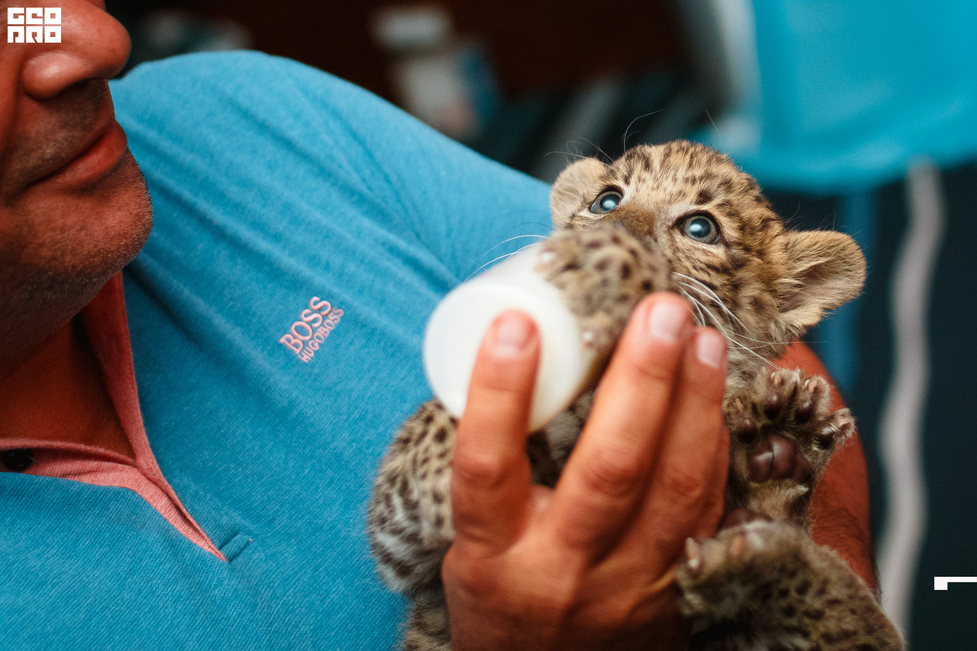 0147 190830_ДДД.jpg