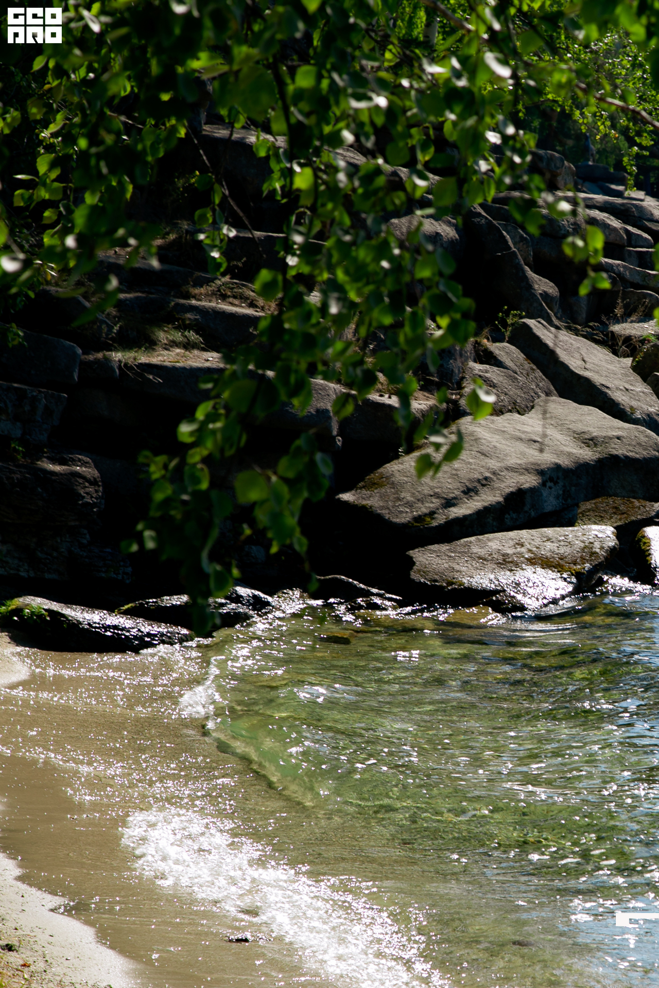 0025 190825 Organic nation.jpg